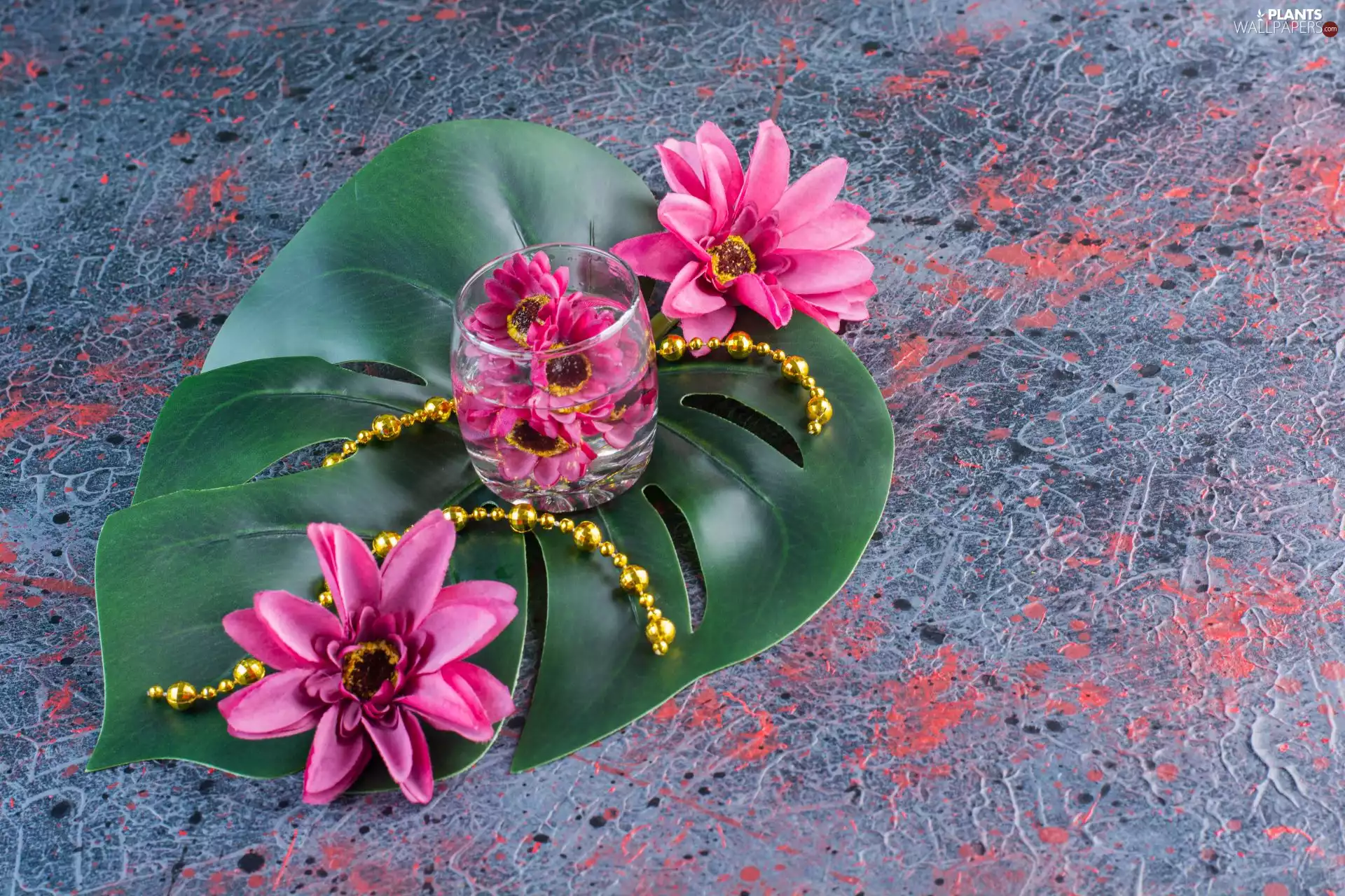 leaf, chaplet, purple, Flowers, cup