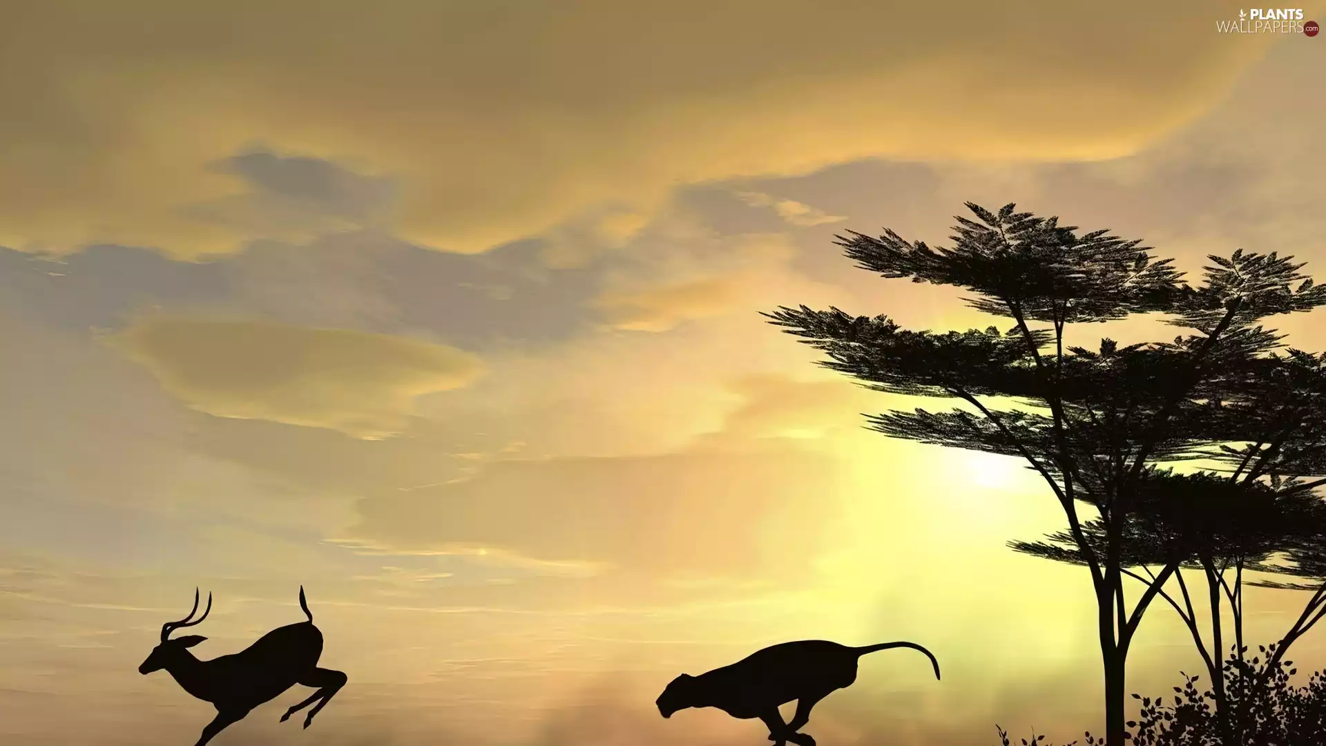 Antelope, trees, viewes, Cheetah