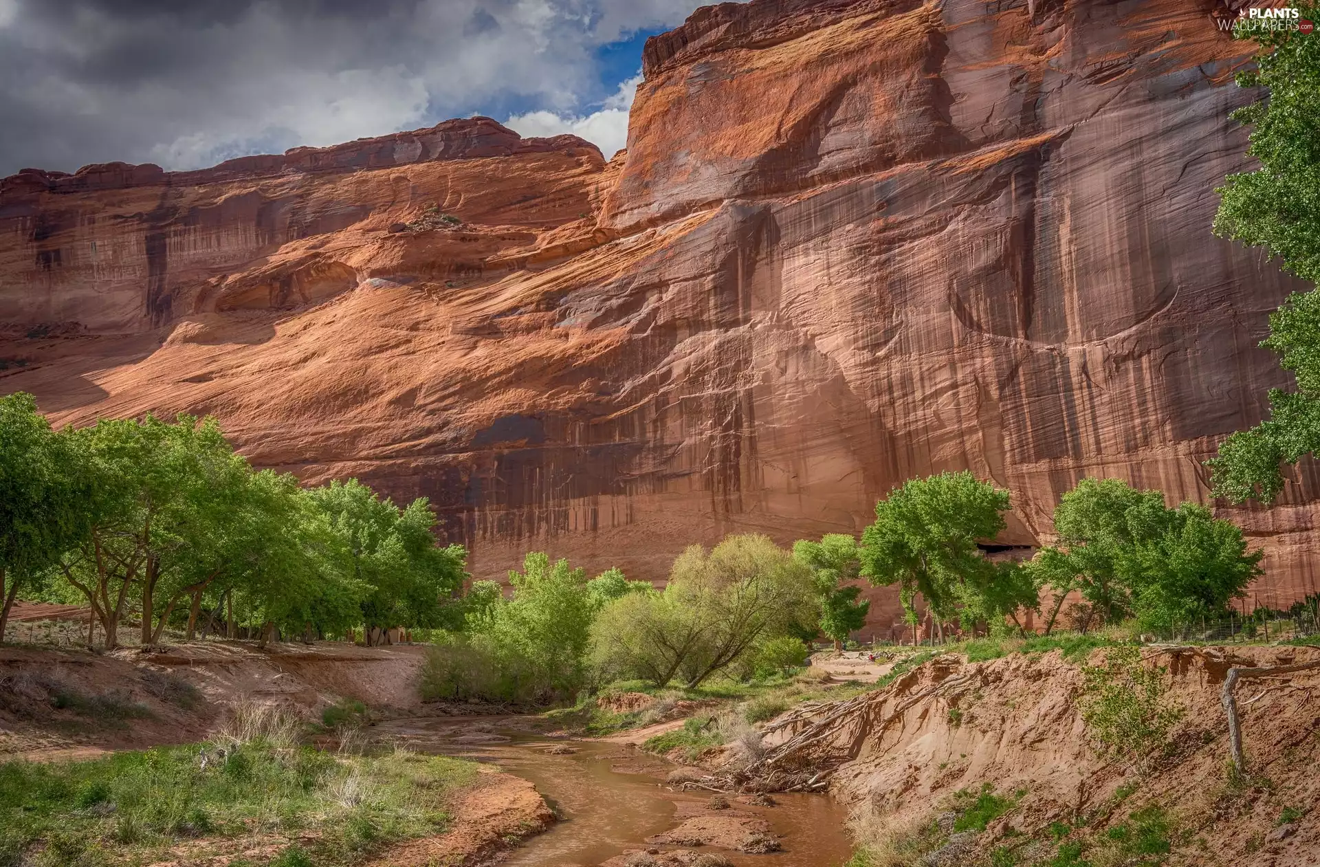 viewes, flux, Arizona, trees, Canyon De Chelly, rocks, The United States