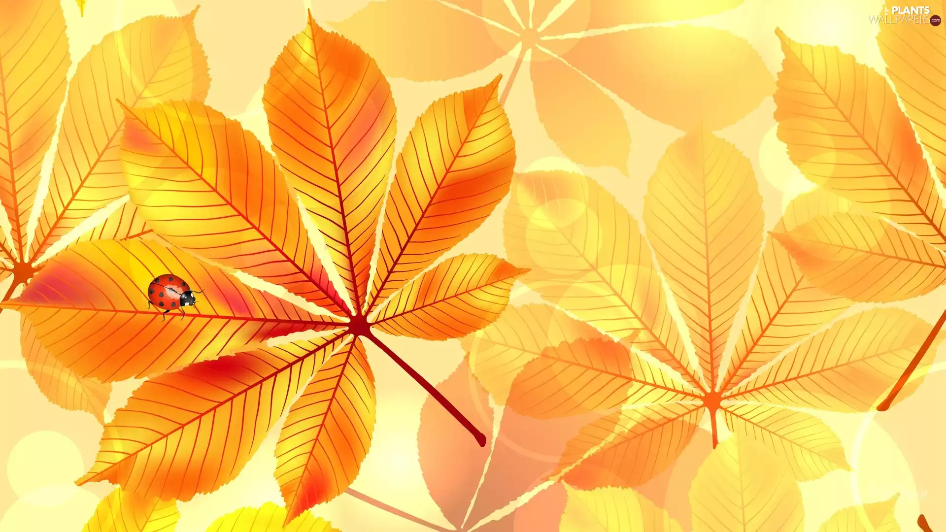 Leaf, ladybird, graphics, chestnut