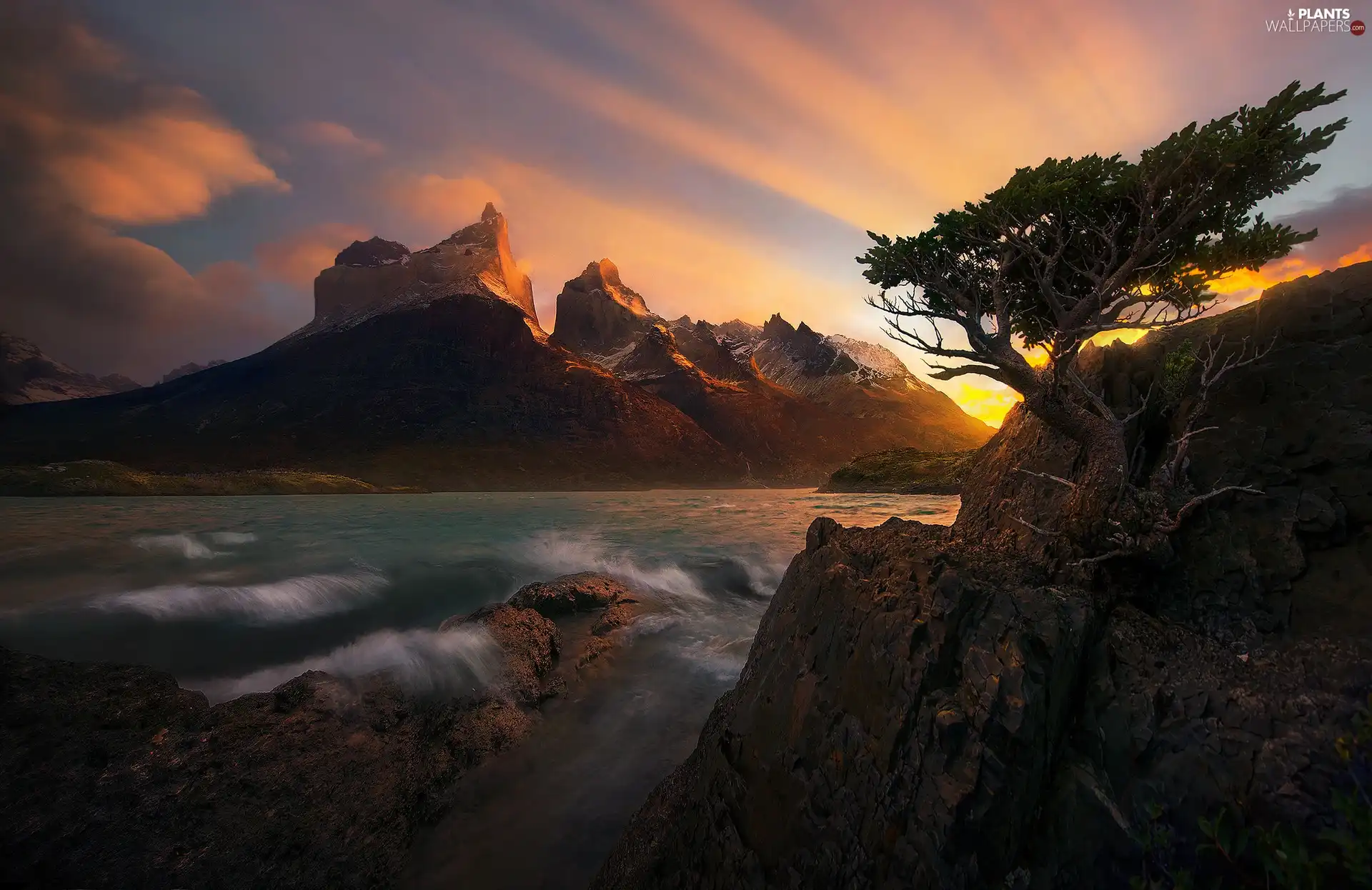 Massif Torres del Paine, River, Chile, Rocks, Patagonia, Cordillera del Paine Mountains, Torres del Paine National Park, trees