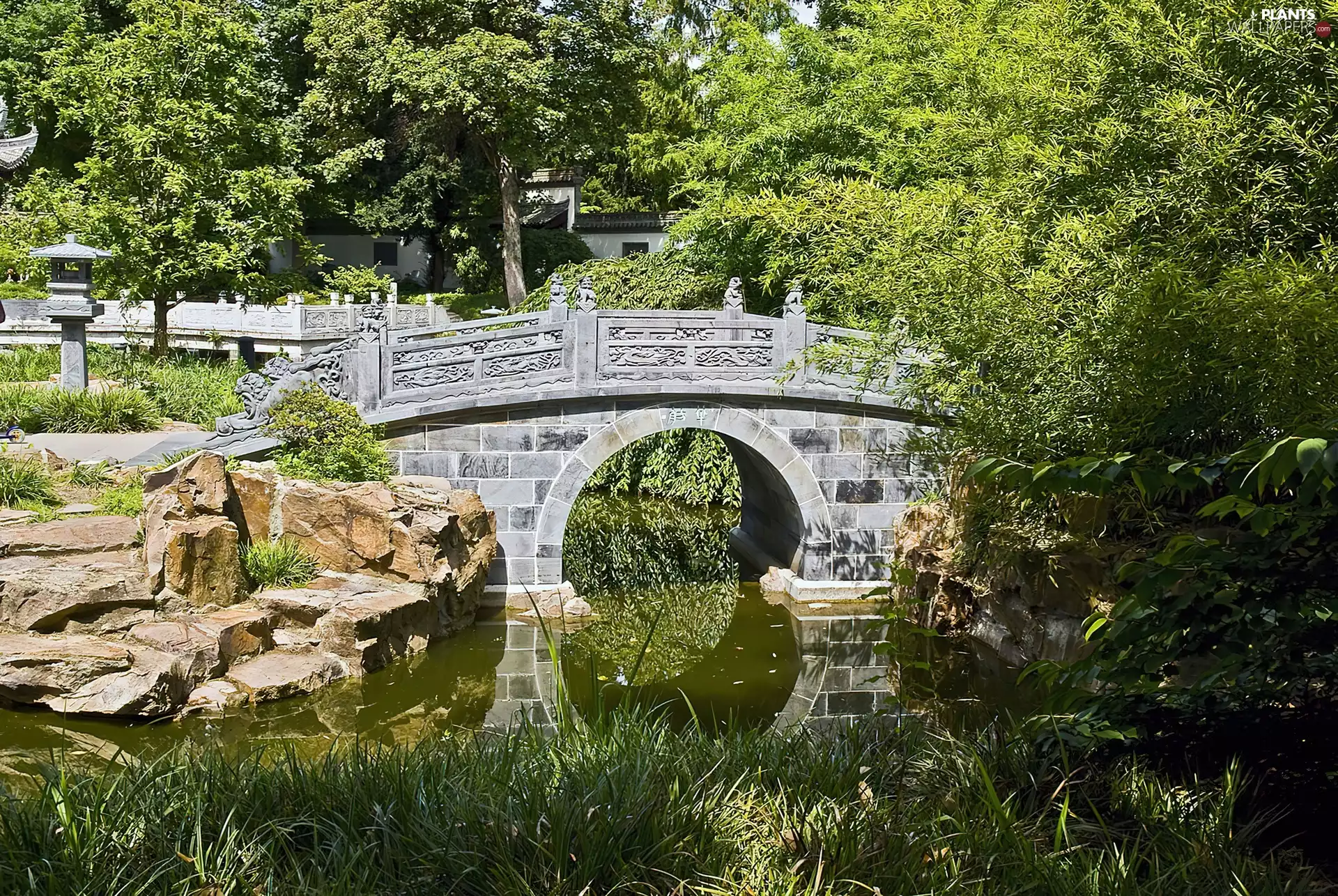 Garden, brook, bridges, Chinese