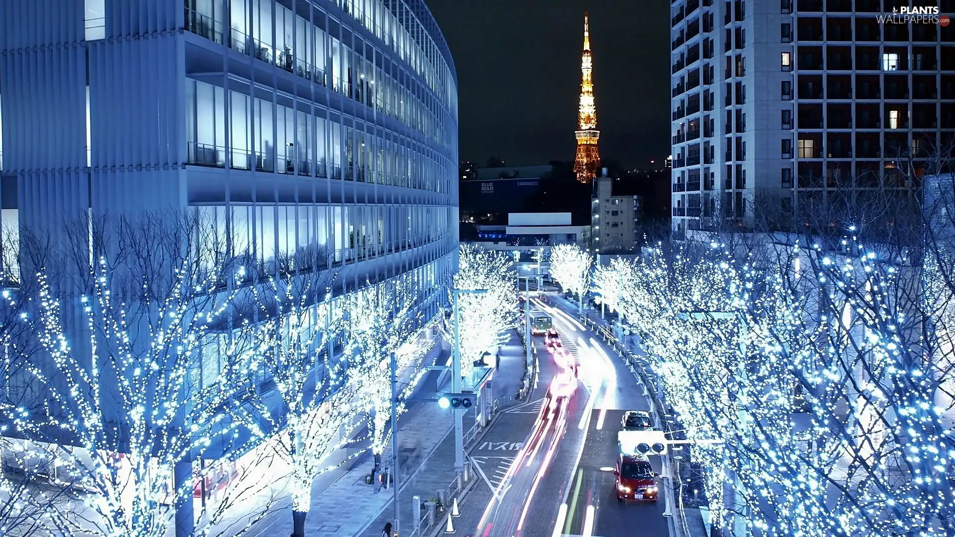 trees, Tokio, Christmas, decoration, viewes, night