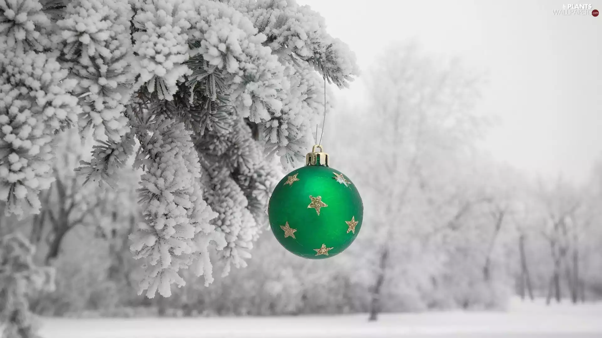 snow, trees, bauble, Christmas, Green, viewes