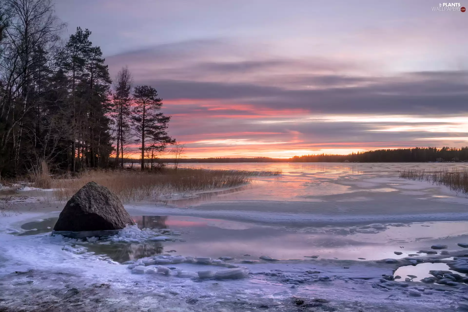 Gulf of Finland, Great Sunsets, Stone, winter, viewes, Kotka City, Finland, trees
