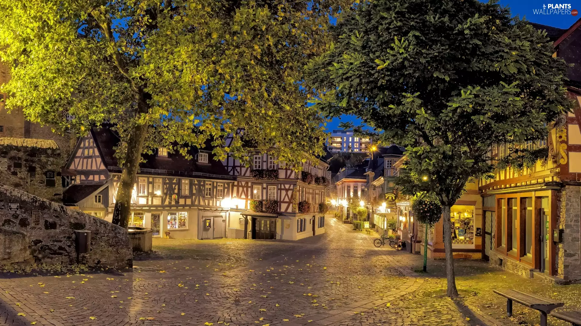 Leaf, Hessen, light, viewes, bench, Idstein City, Germany, Houses, trees, Street