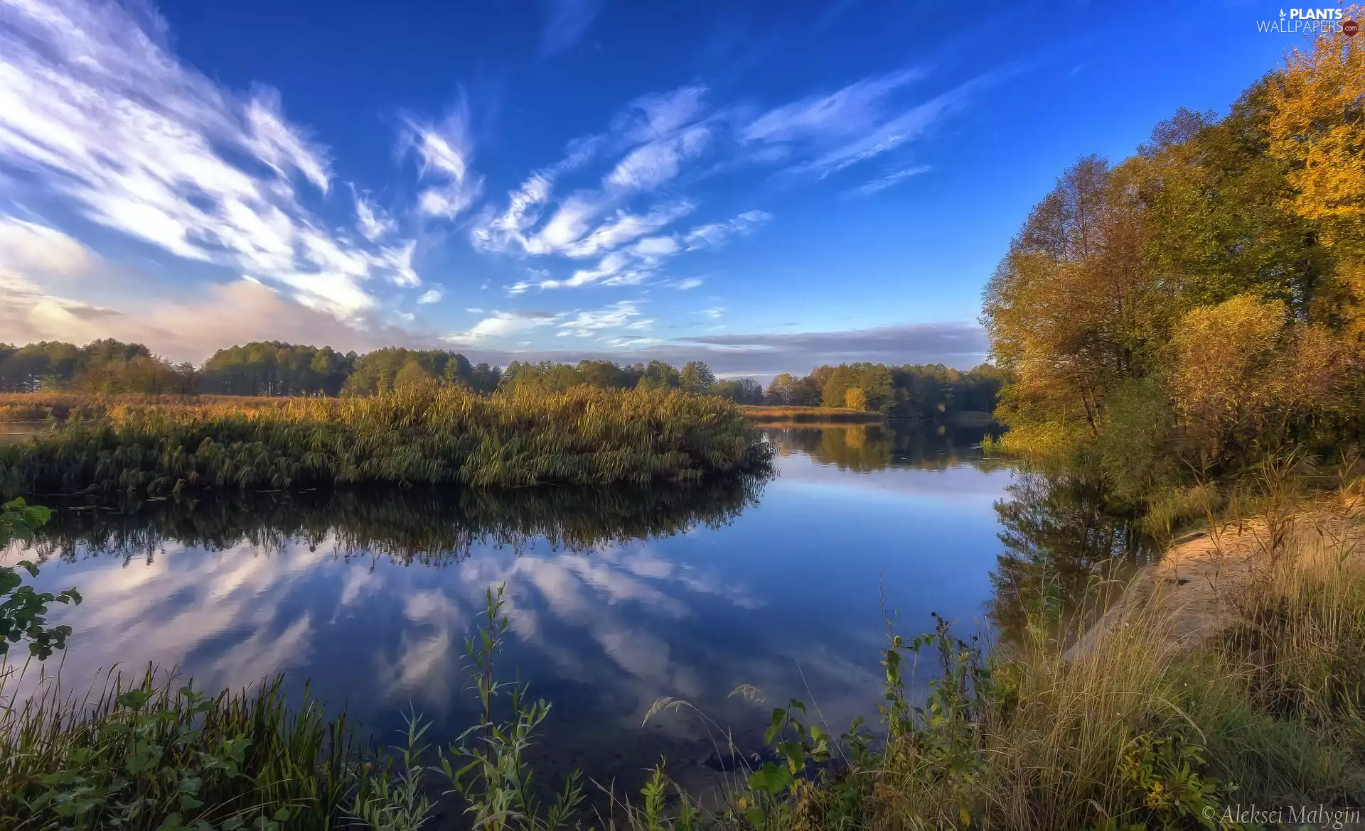 Russia, Voronezh River, viewes, clouds, trees, Chertovitsy City