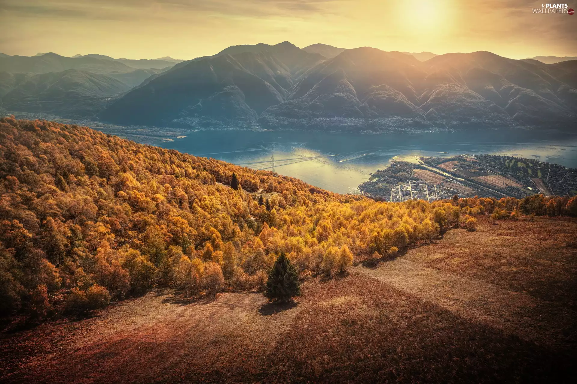 Ticino Canton, Switzerland, City Locarno, Alps Mountains, autumn, Sunrise, trees, viewes, Lake Maggiore