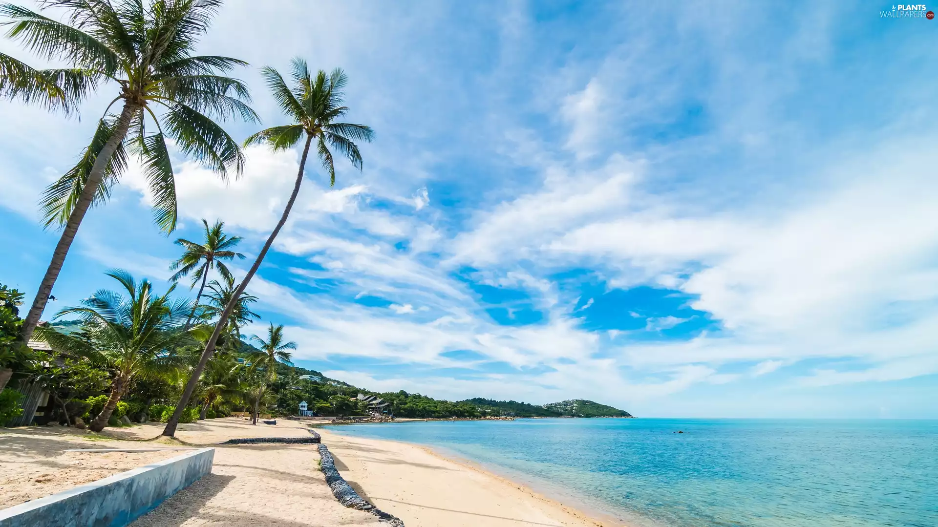 Palms, clouds, Beaches, coast, sea