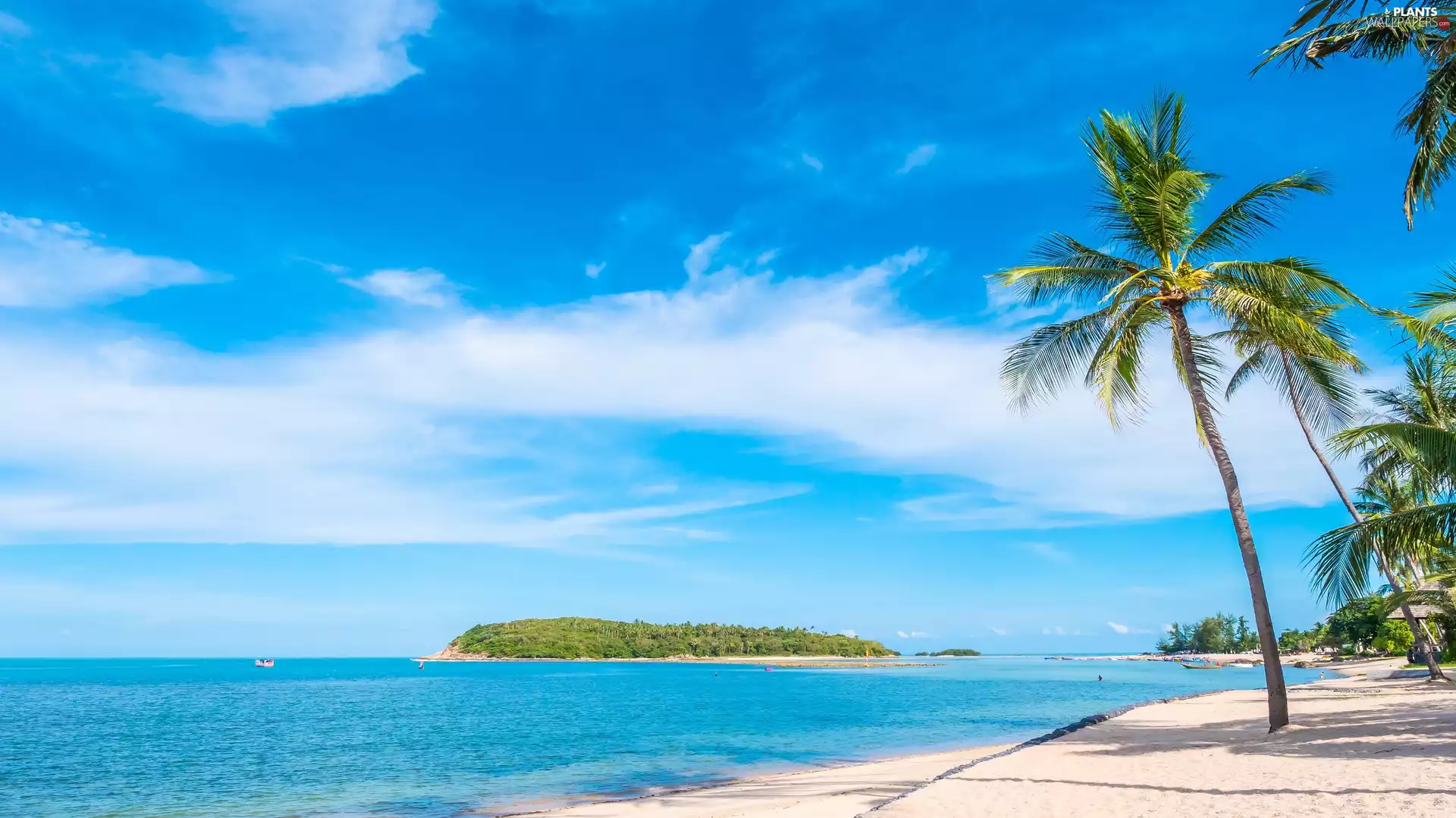 Islet, clouds, Beaches, Palms, sea