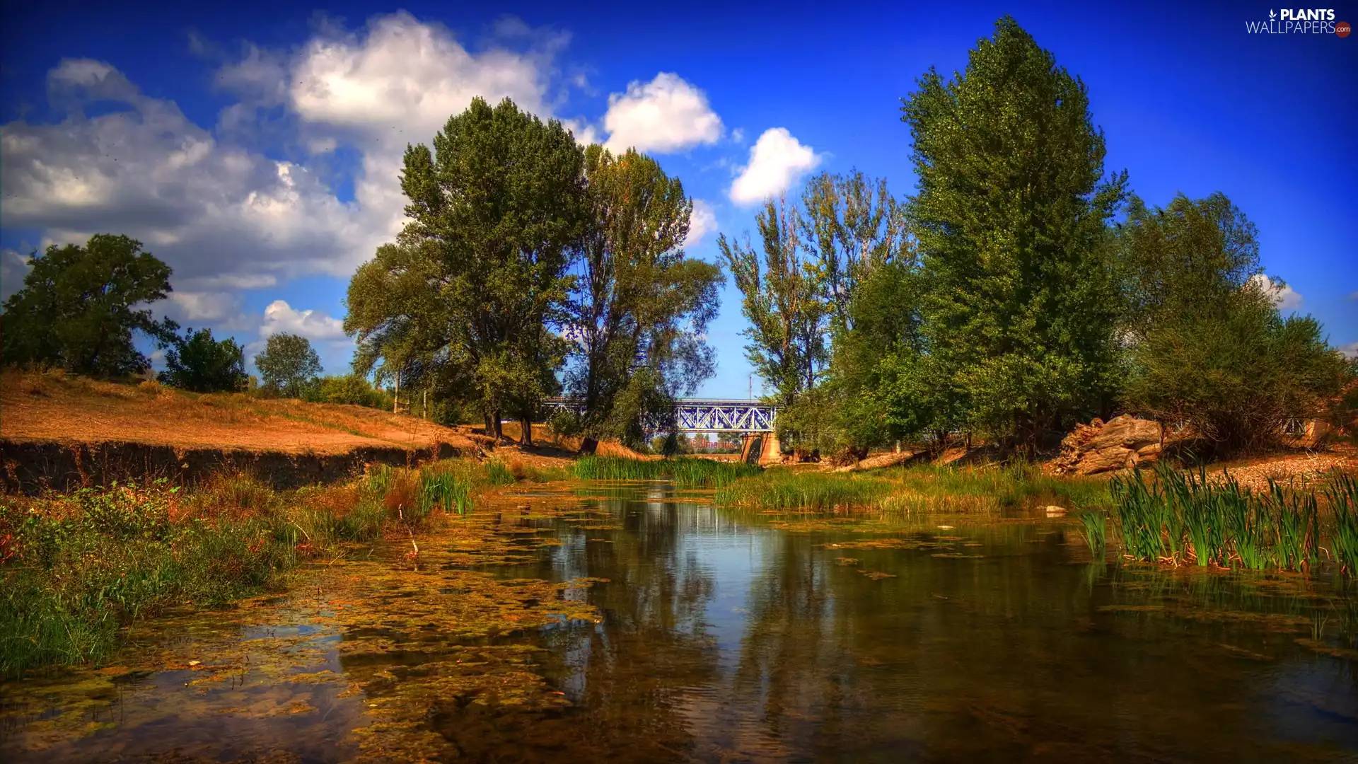 trees, River, grass, clouds, viewes, bridge