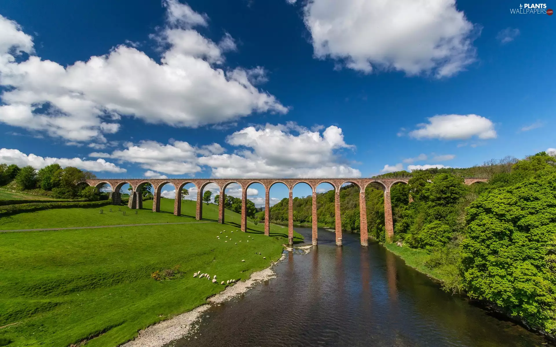 Meadow, River, viewes, clouds, trees, bridge