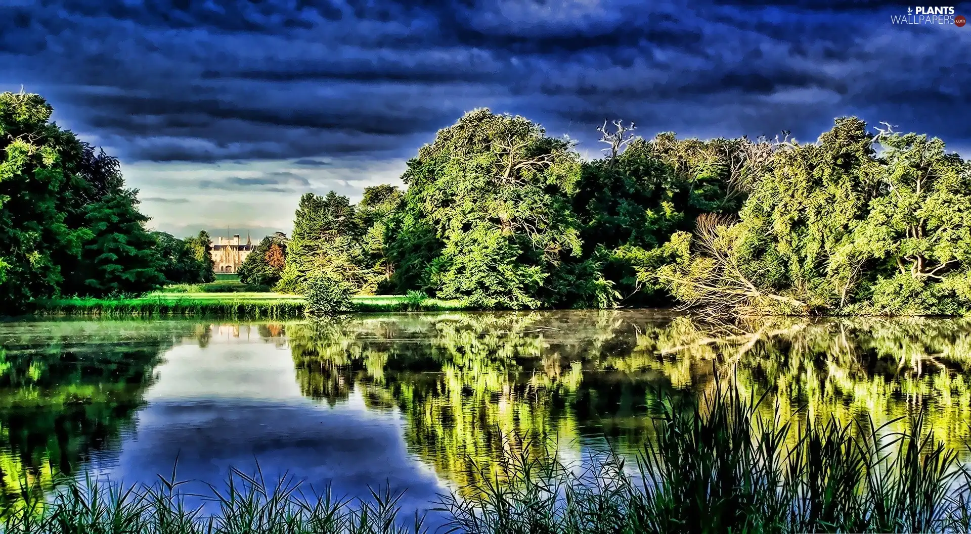 Pond - car, viewes, clouds, trees