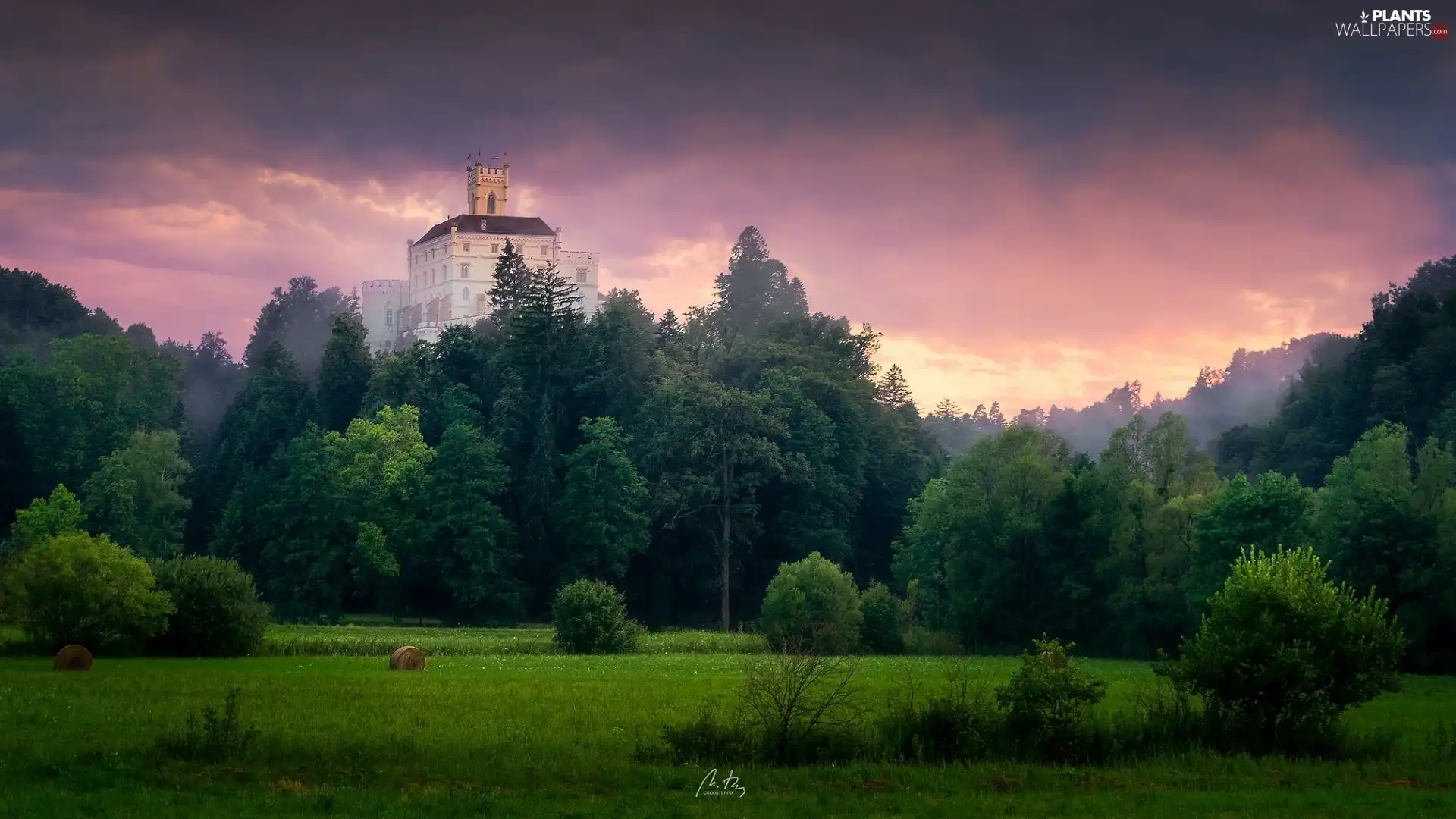 viewes, Trakoscan Castle, dark, trees, Coartia, Sky, clouds