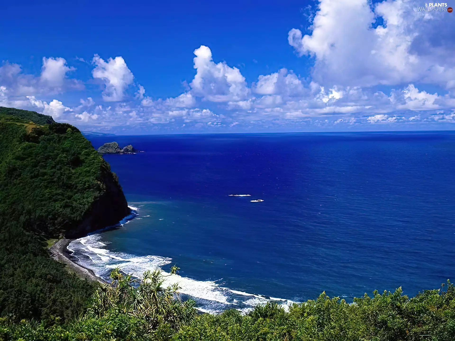 viewes, clouds, Coast, trees, sea