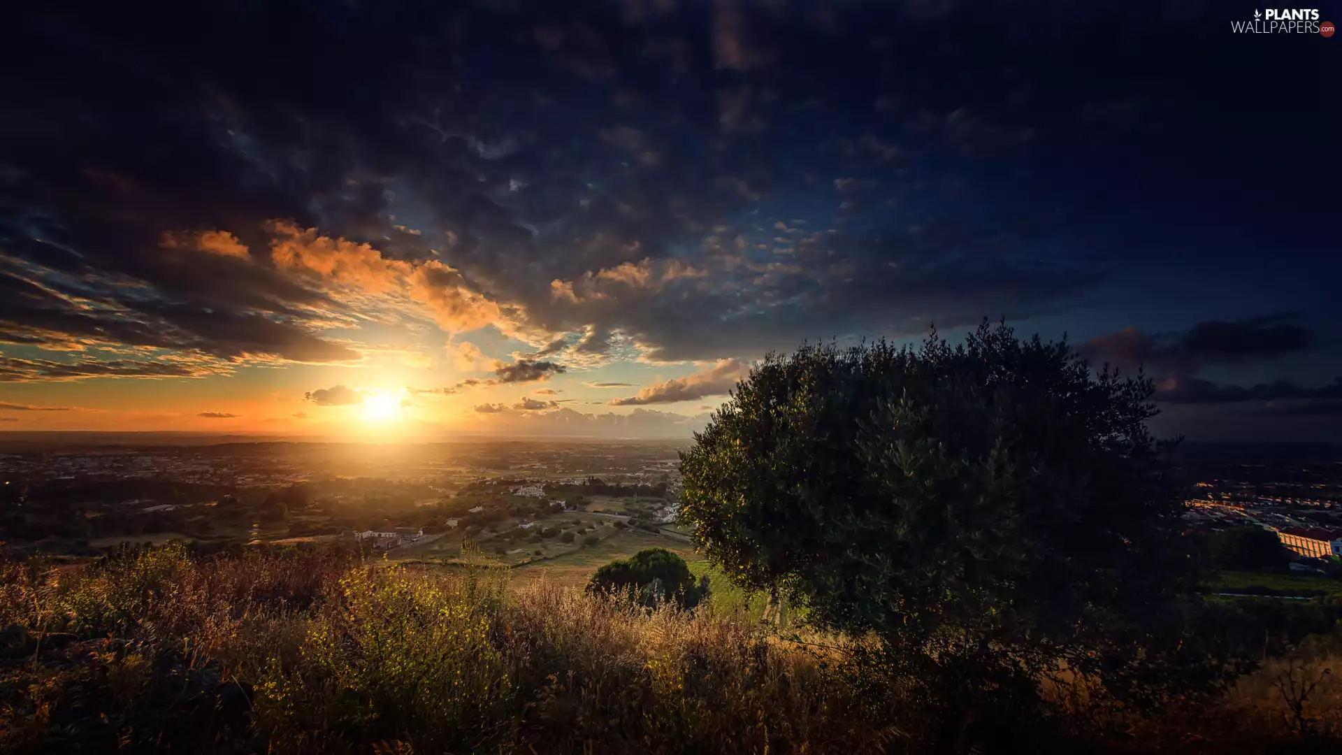 grass, trees, dark, viewes, Valley, Great Sunsets, clouds