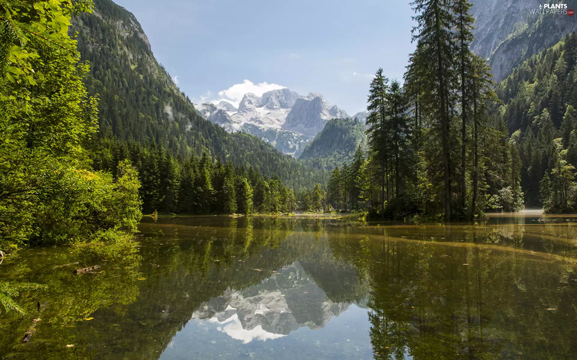 Dachstein Mountains, Austria, Gosauseen Lake, trees, clouds, Fog, forest, Sky, viewes