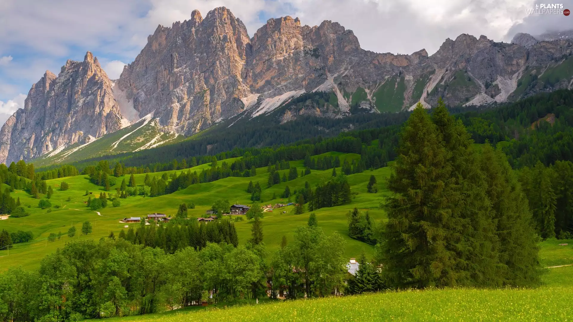 trees, Mountains, Houses, clouds, viewes, forest