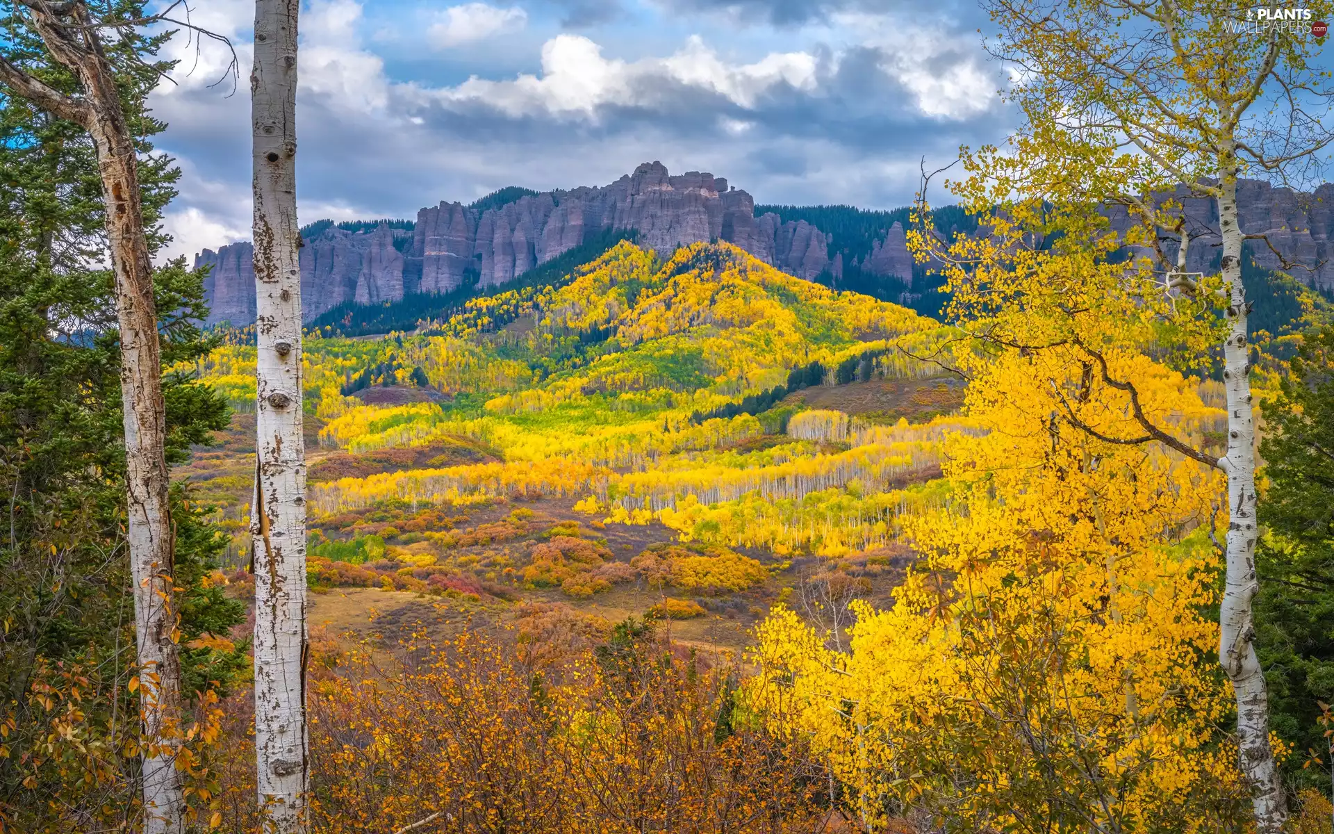 trees, autumn, Mountains, clouds, viewes, forest