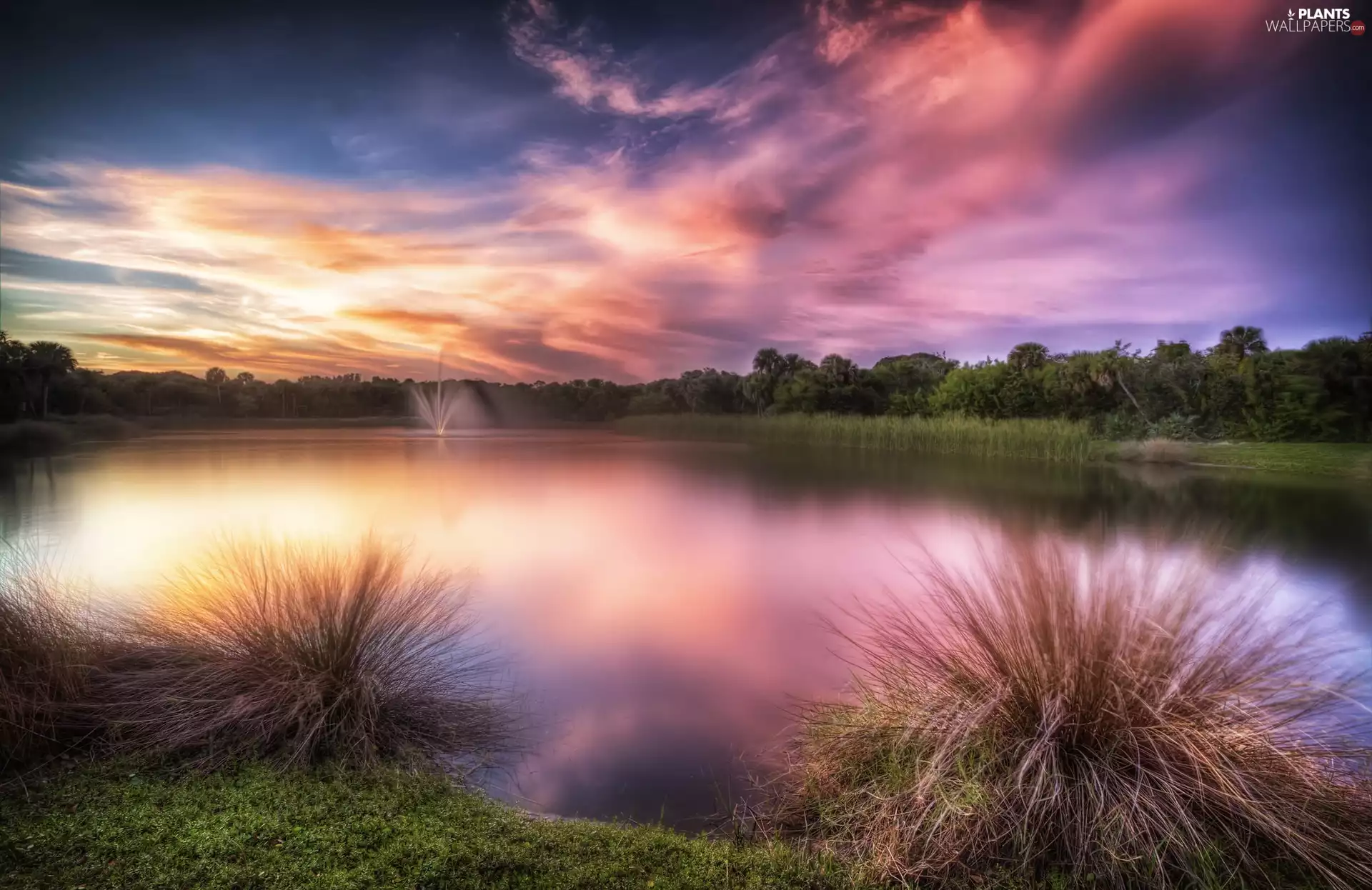 woods, clouds, fountain, grass, lake