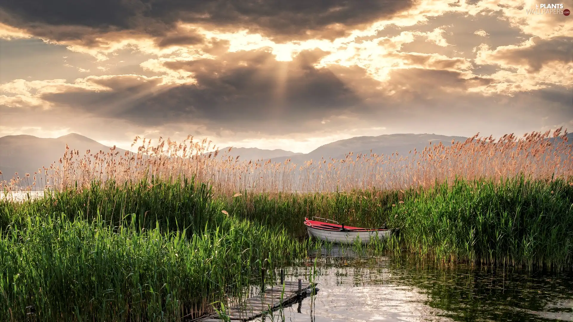 rushes, lake, Platform, clouds, Boat, grass