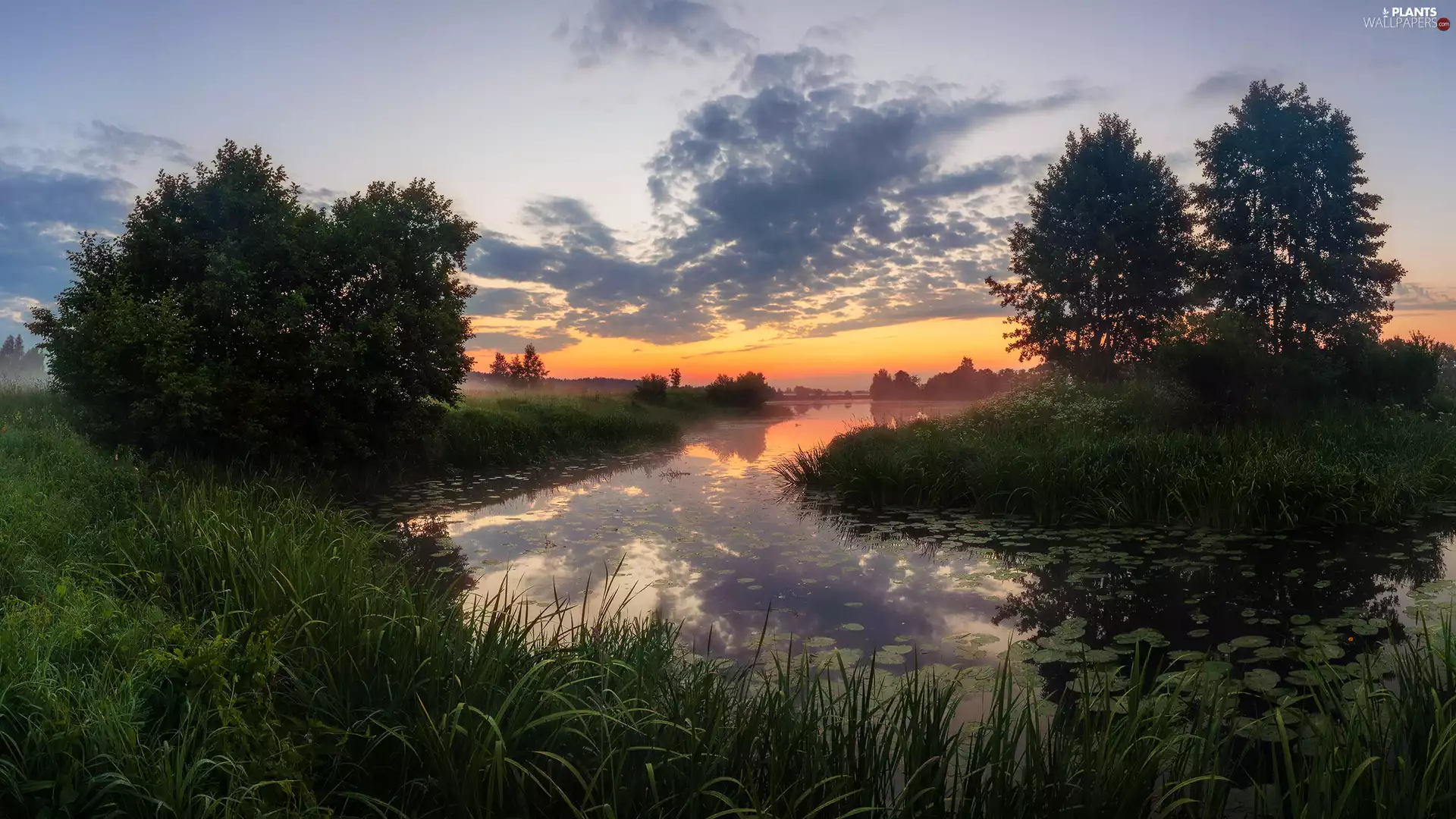 trees, River, Sunrise, clouds, viewes, grass