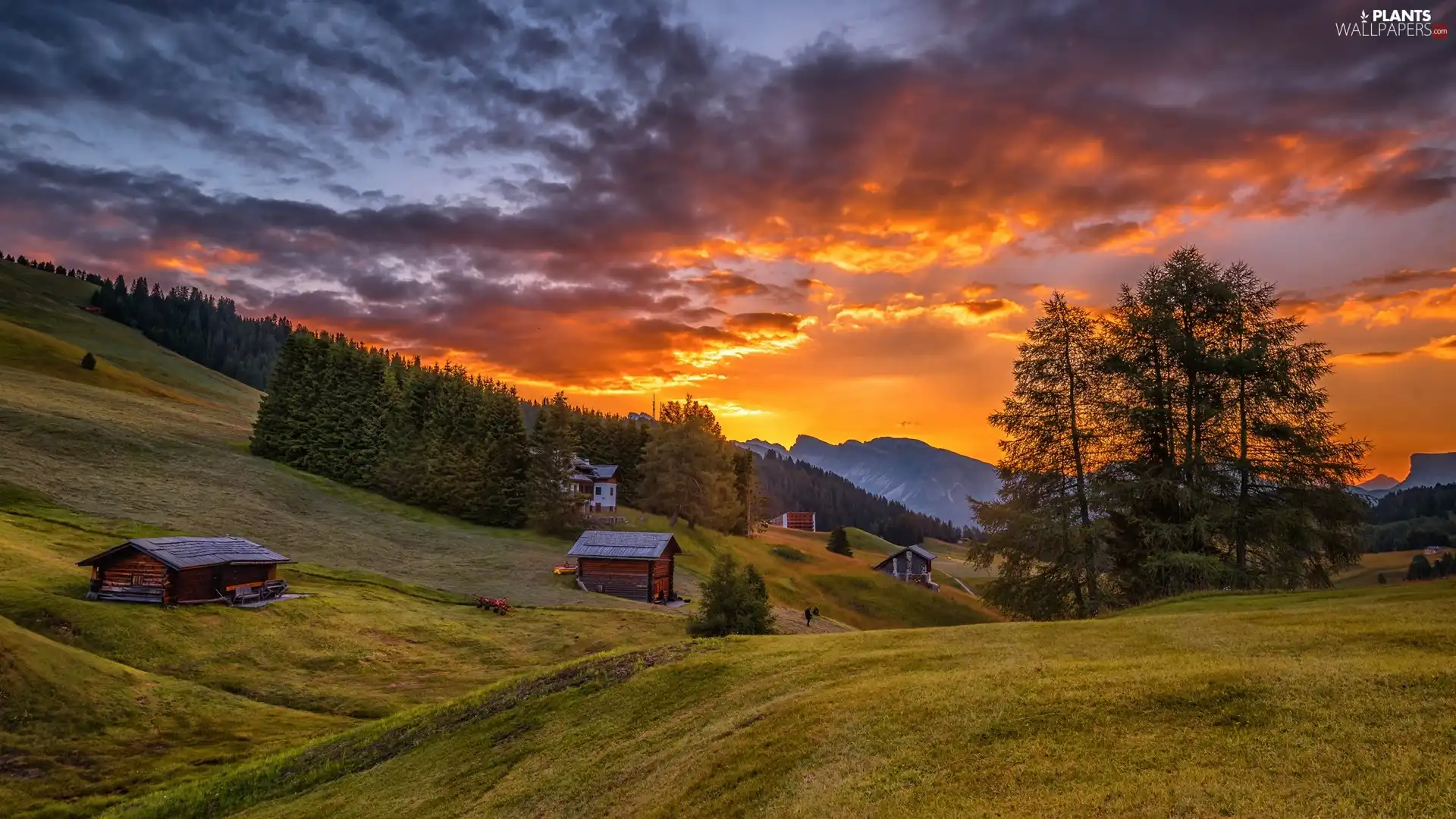 viewes, forest, Great Sunsets, trees, Mountains, Houses, clouds