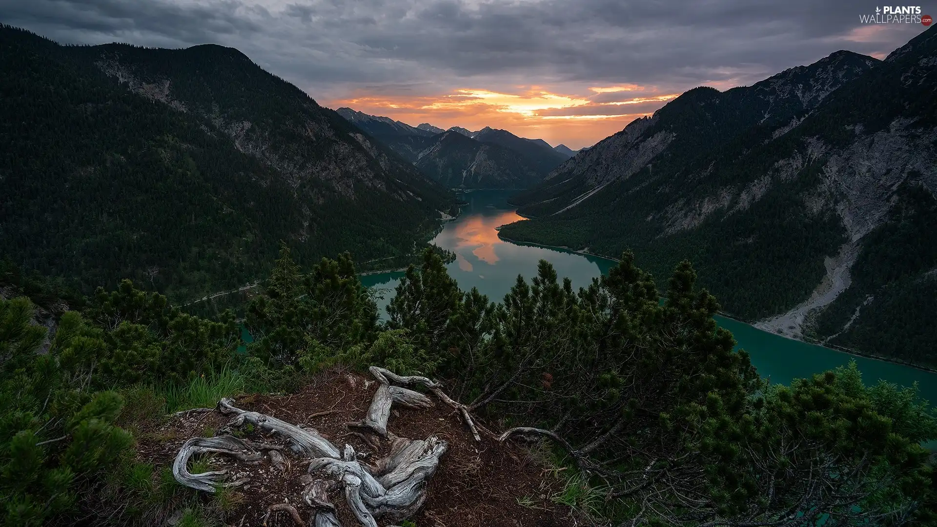 trees, lake, Great Sunsets, forest, Mountains, viewes, clouds