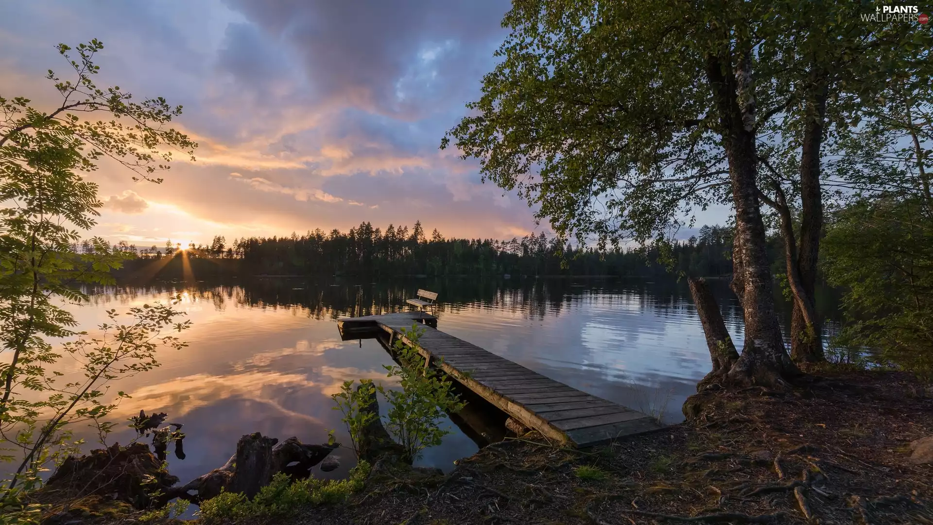 trees, Platform, Great Sunsets, Bench, lake, viewes, clouds