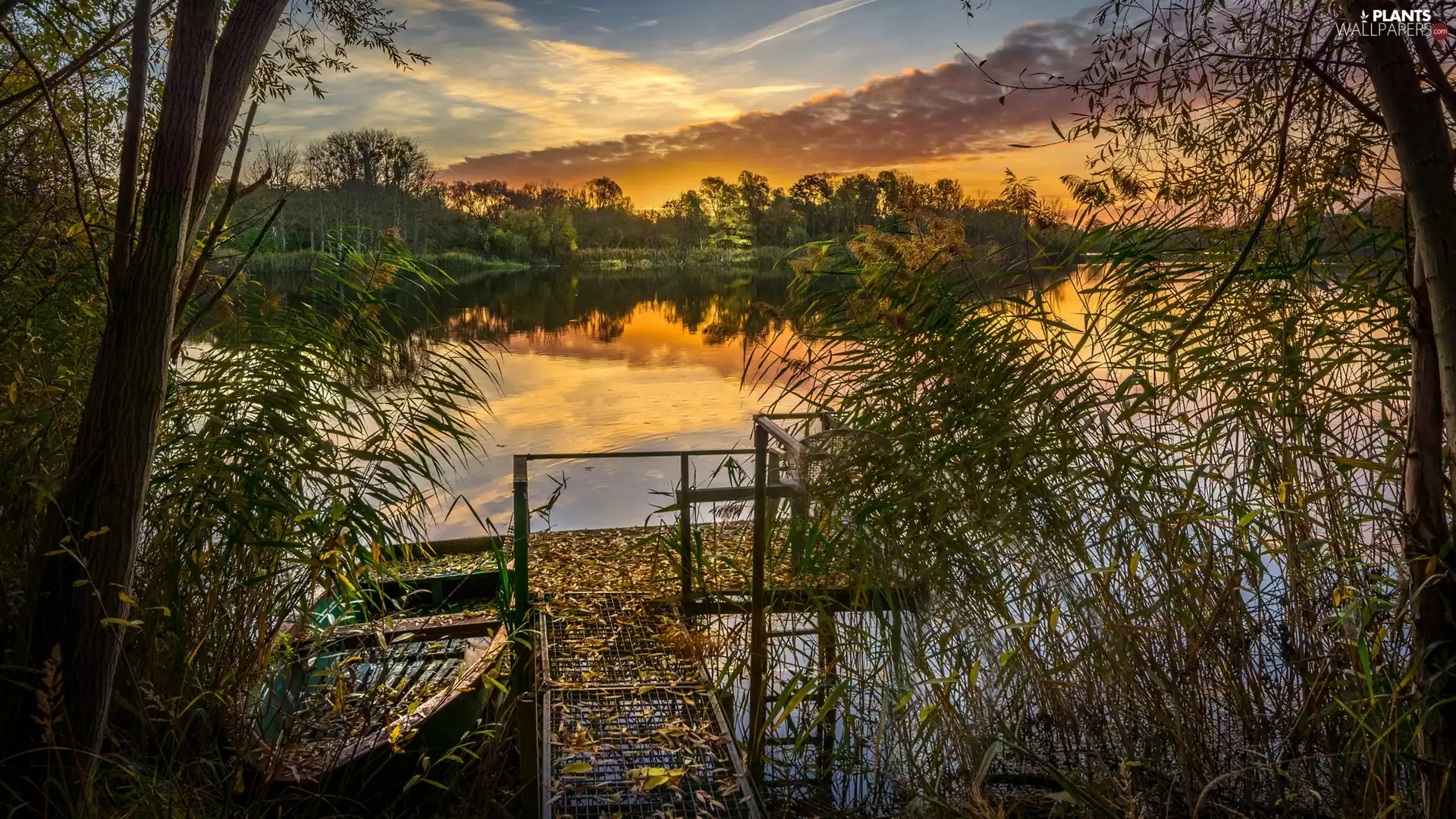trees, Platform, Great Sunsets, Boat, lake, viewes, clouds