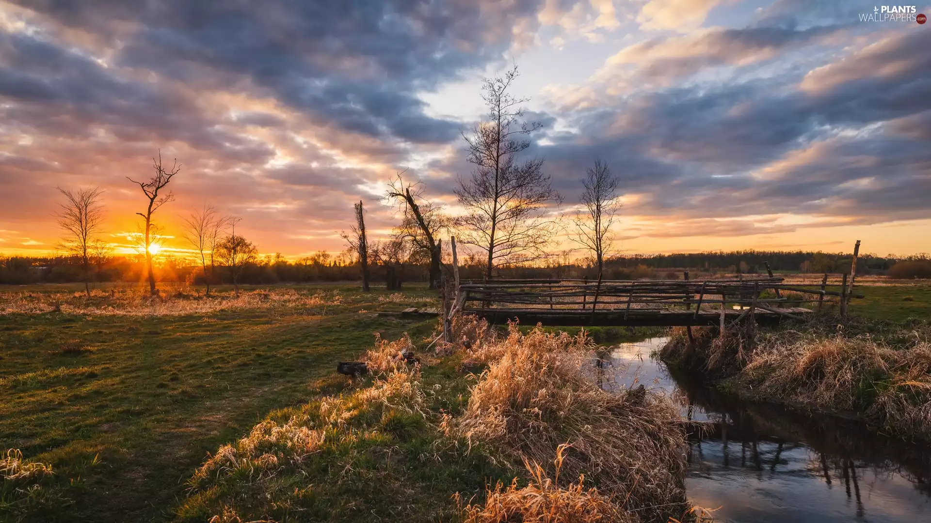 grass, trees, Great Sunsets, viewes, River, bridges, clouds