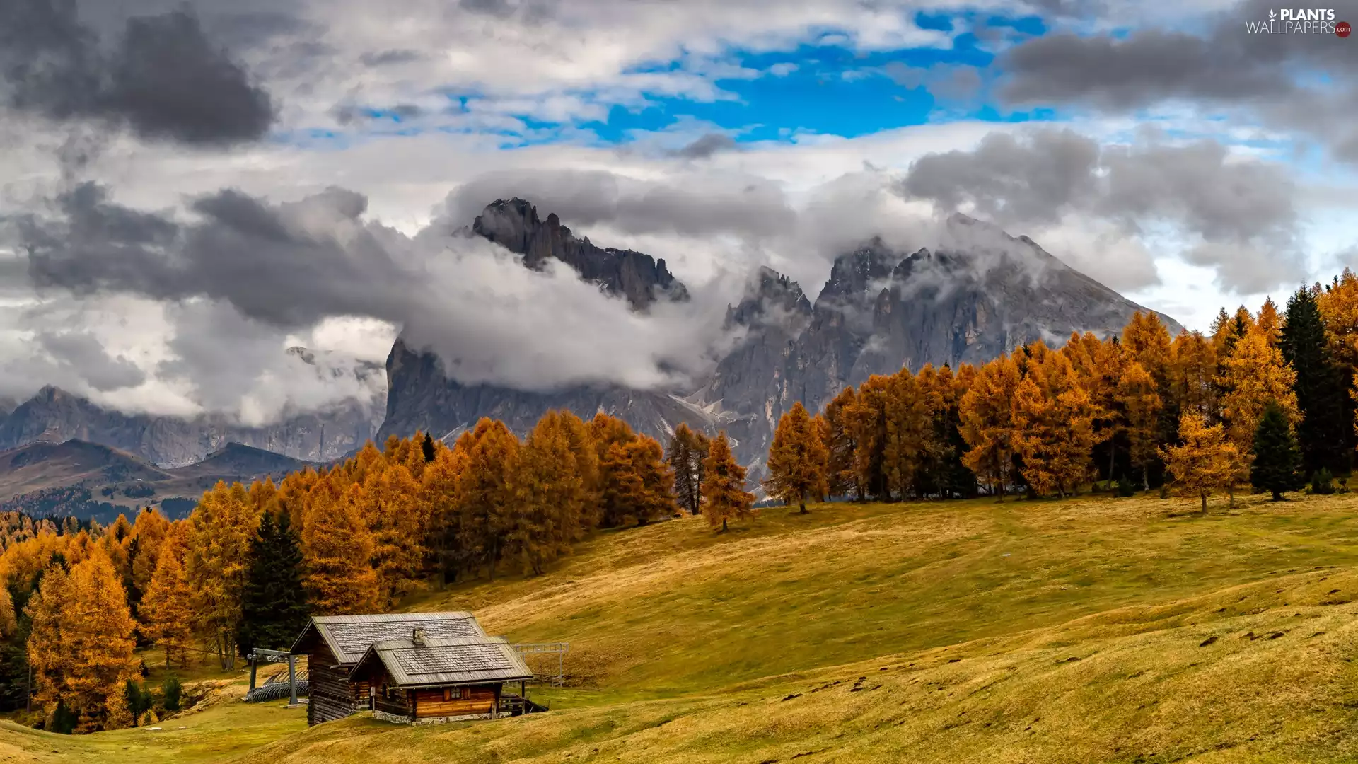 trees, Mountains, autumn, clouds, viewes, house
