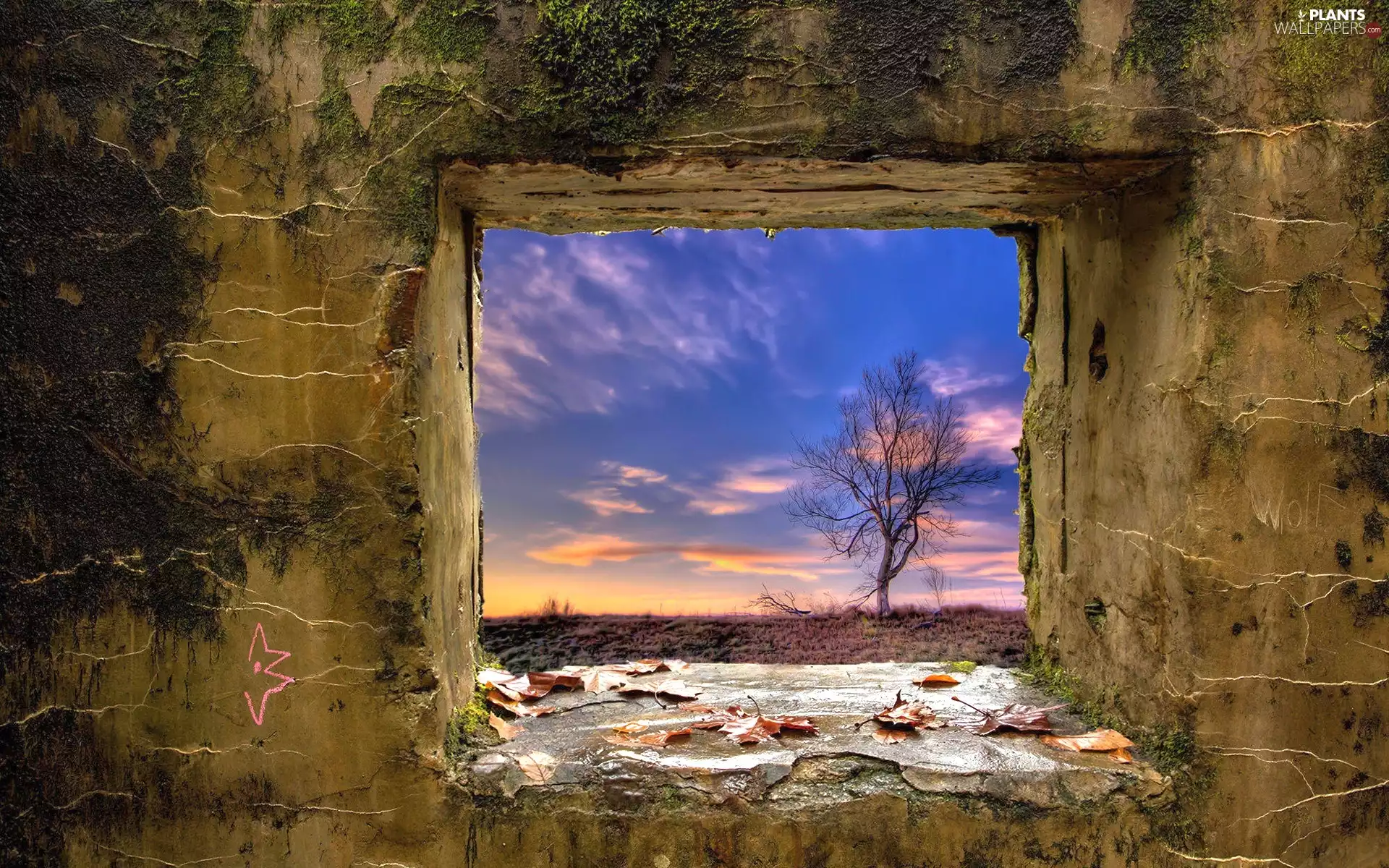 Window, ruin, Sky, clouds, trees, house