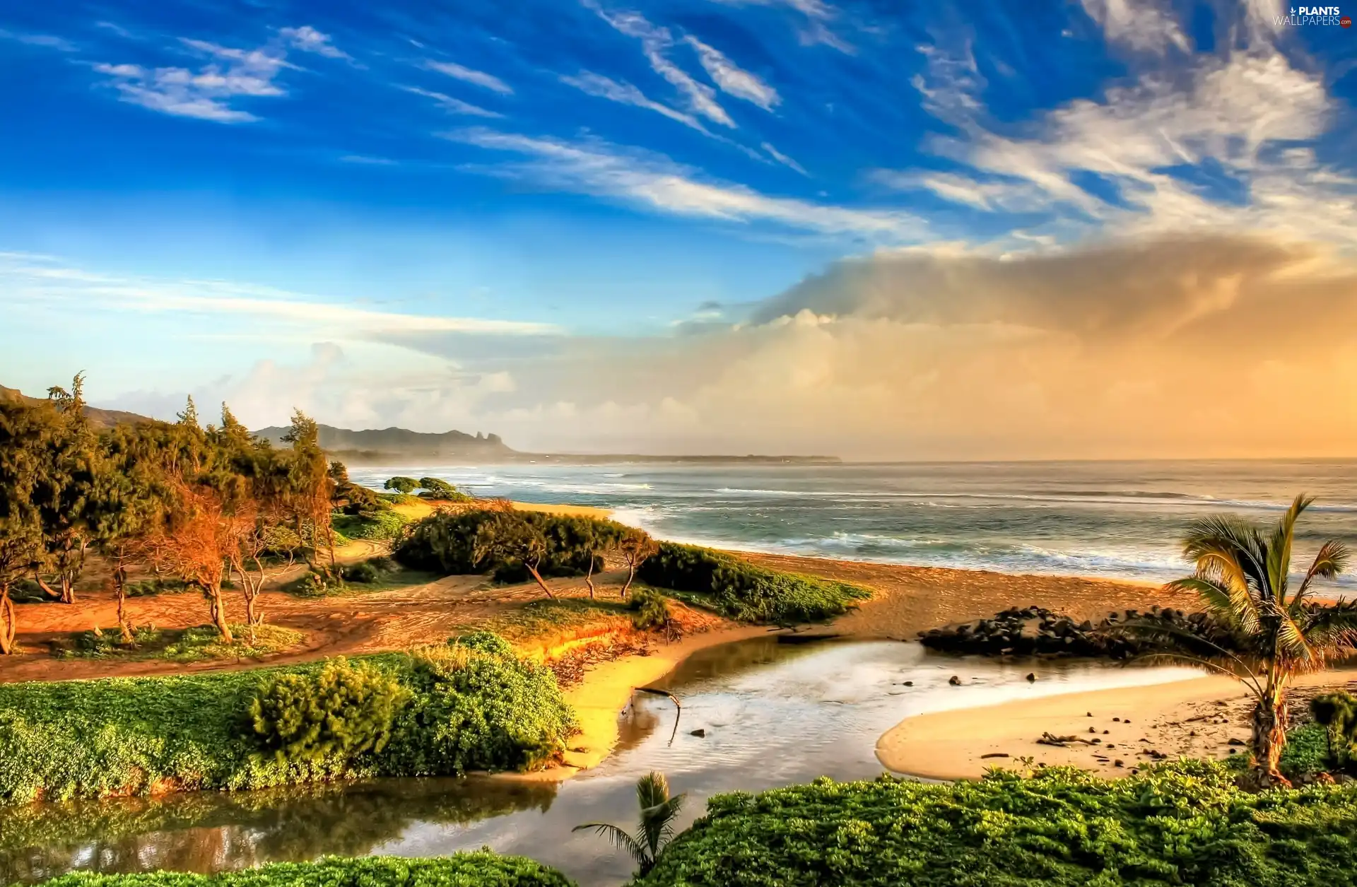 viewes, sea, clouds, inflow, Sky, trees