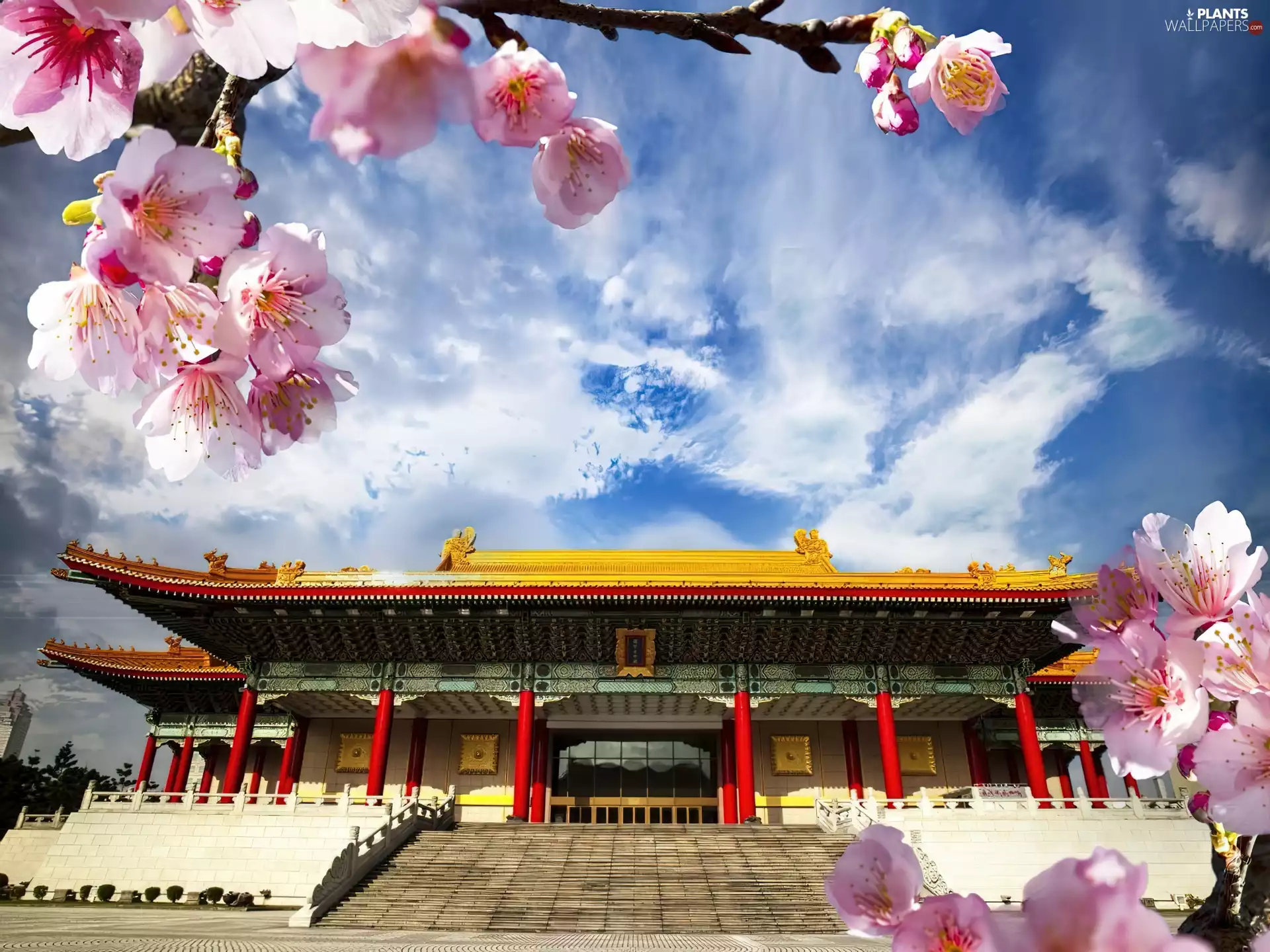 flourishing, House, viewes, clouds, trees, Japan