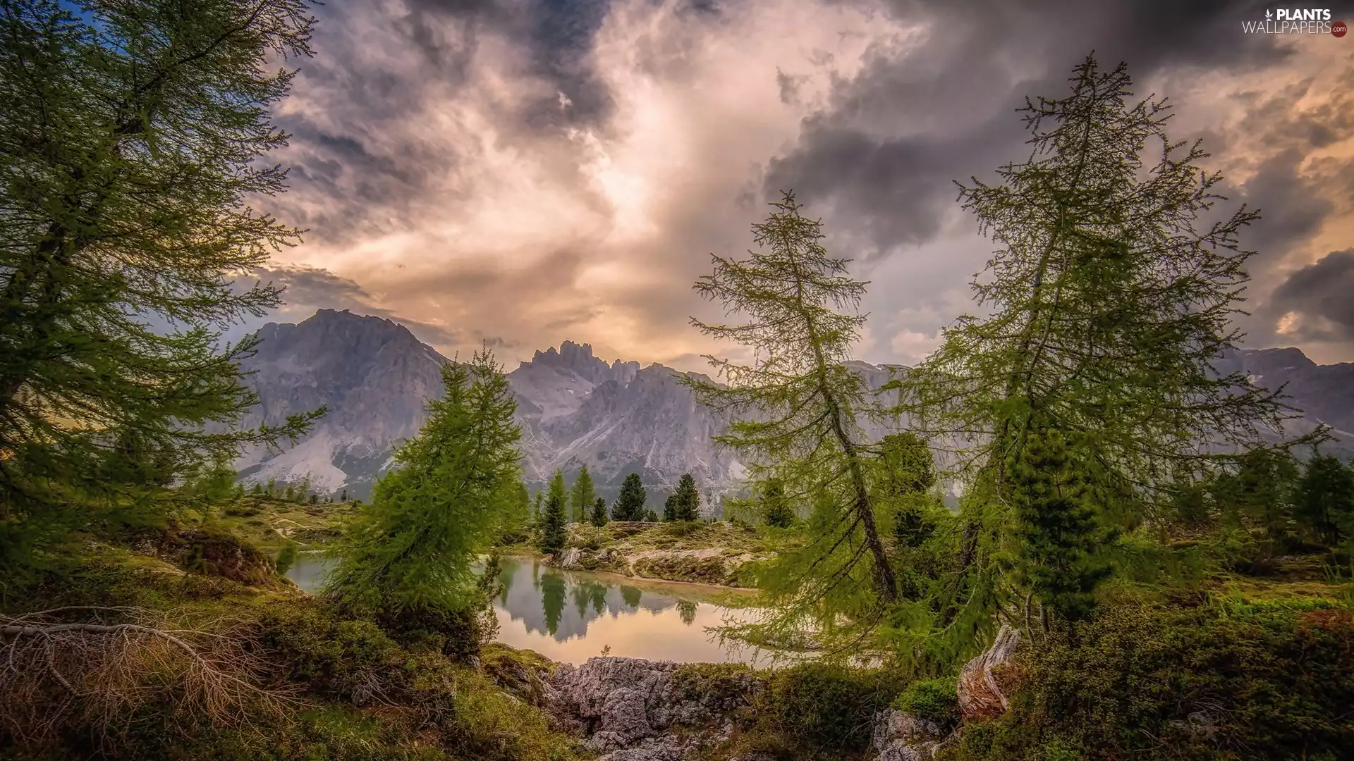 trees, Mountains, dark, clouds, viewes, lake