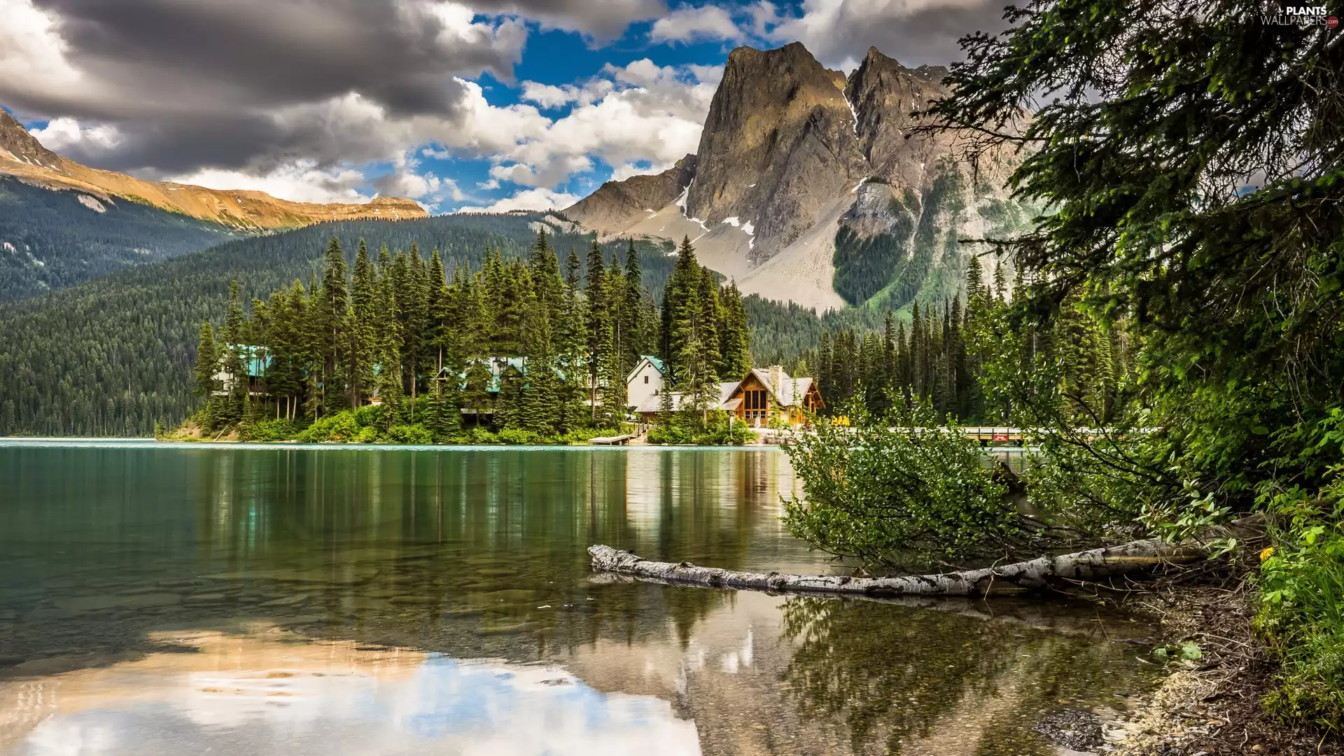 viewes, lake, Mountains, clouds, forest, Yoho National Park, Emerald Lake, Canada, reflection, trees