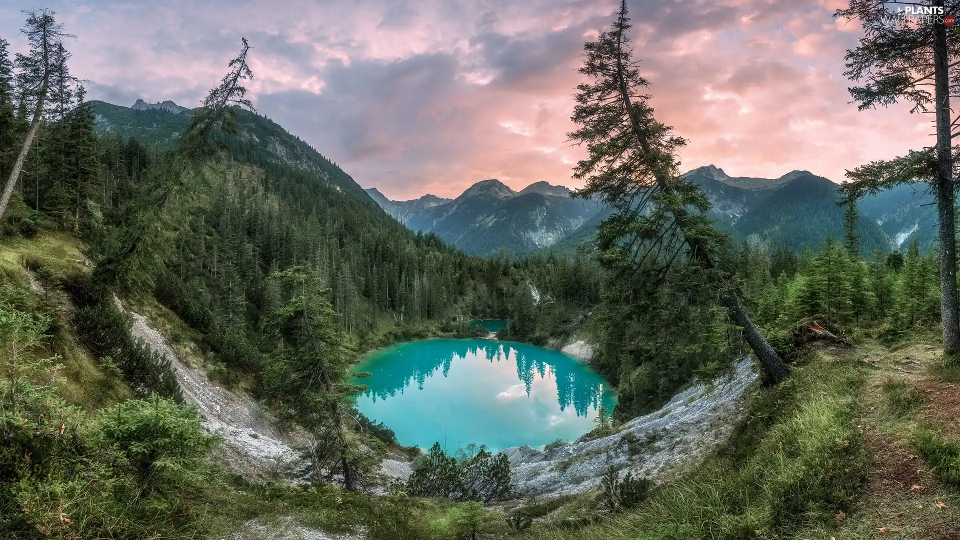 green ones, lake, viewes, forest, Mountains, trees, clouds