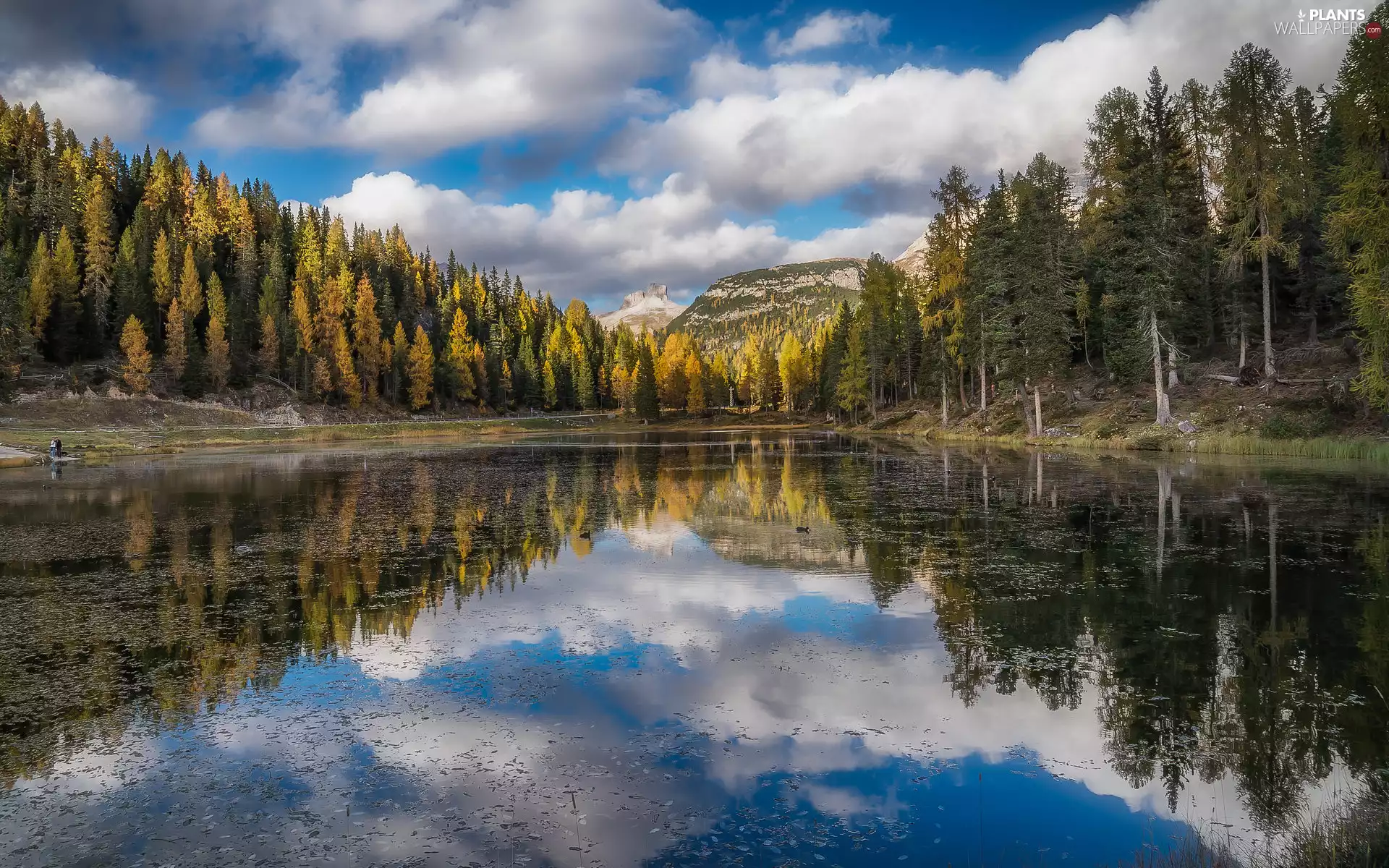 trees, Mountains, reflection, clouds, viewes, lake