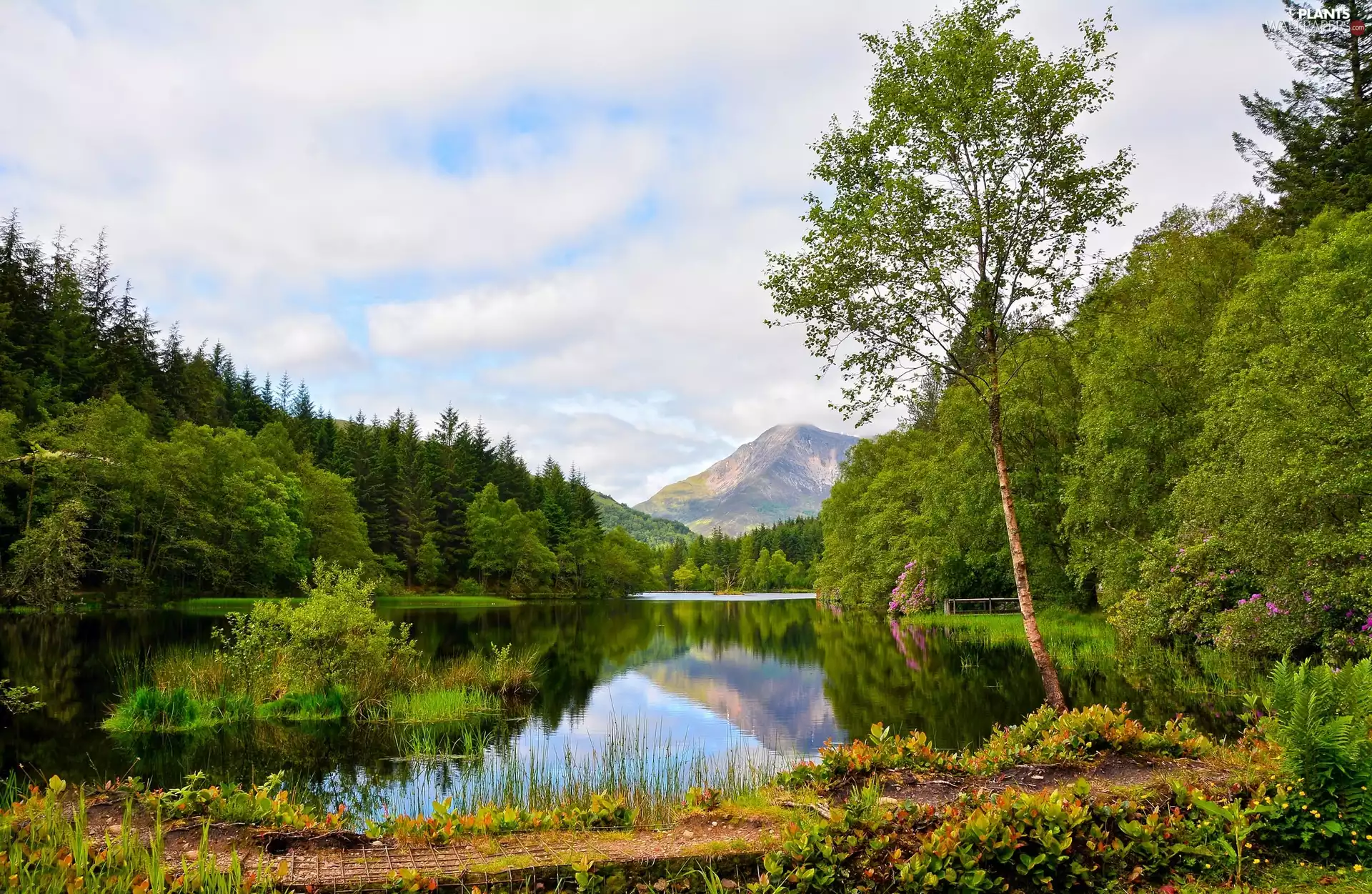 trees, Mountains, VEGETATION, clouds, viewes, lake