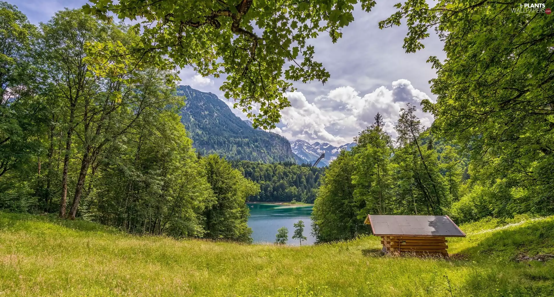 forest, Mountains, viewes, clouds, trees, lake