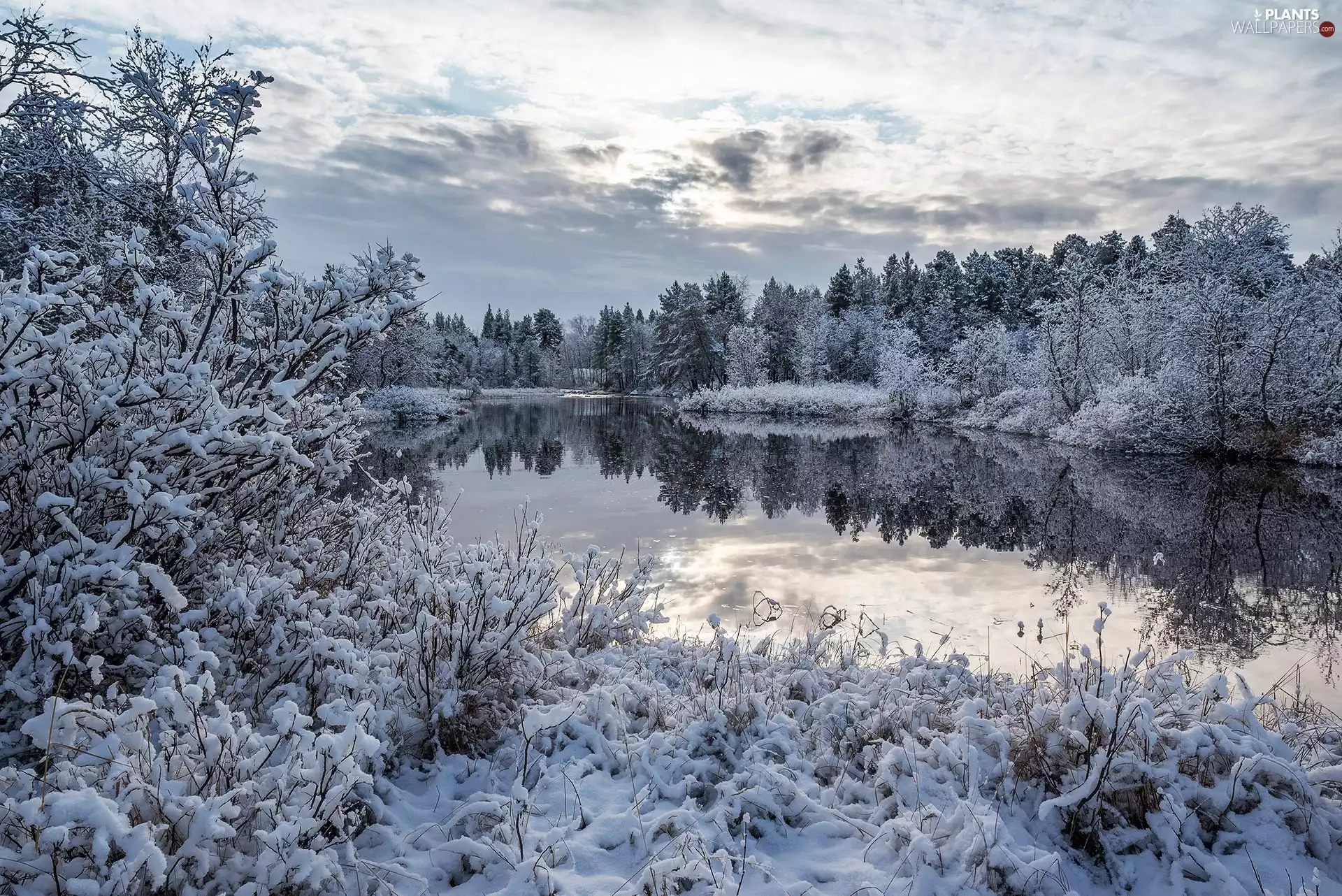 Snowy, winter, viewes, clouds, trees, lake