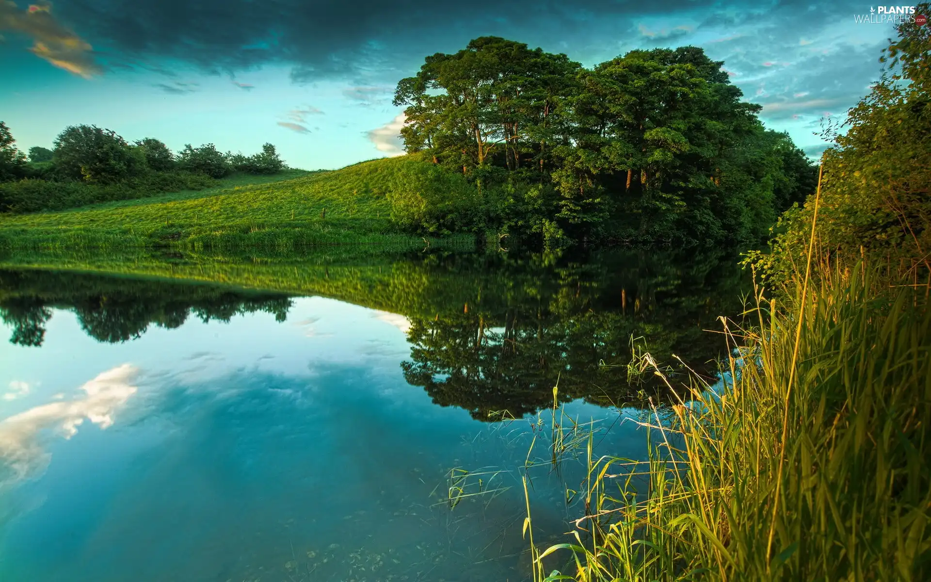 lake, viewes, clouds, trees