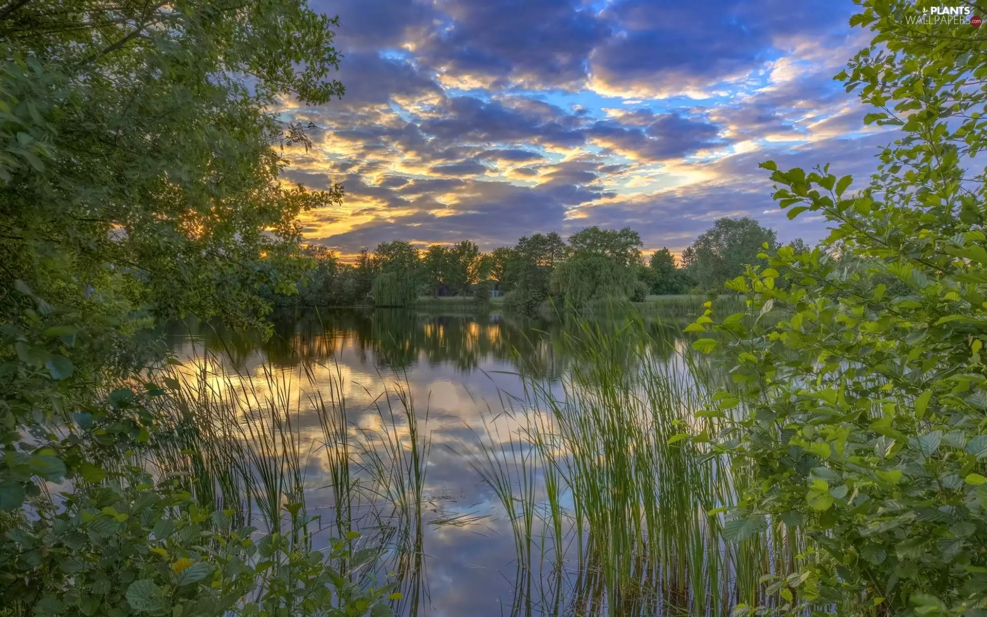 Dannenberg, Thielenburger See Lake, grass, trees, clouds, Lower Saxony, Germany, viewes