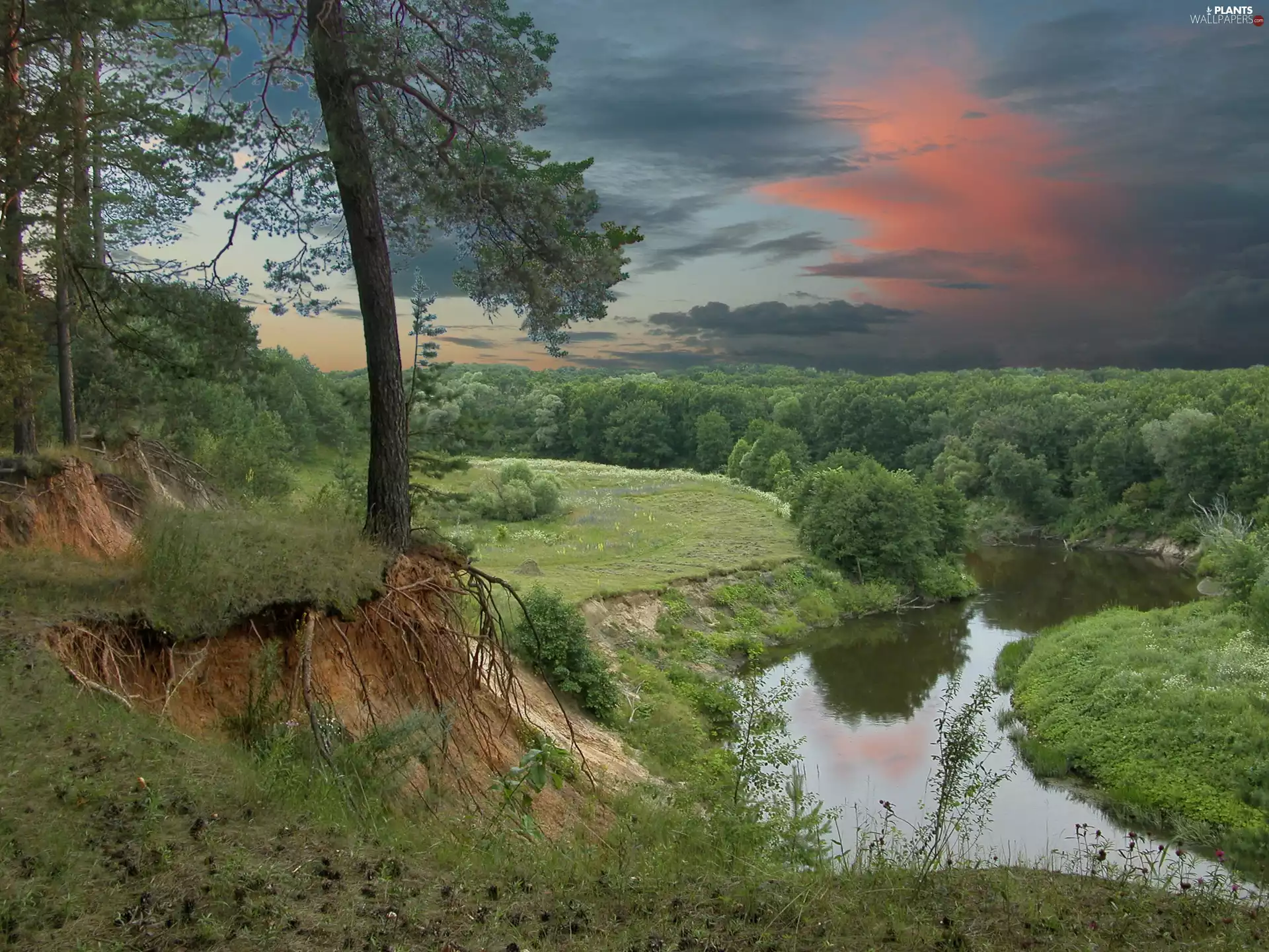 trees, River, Sky, clouds, viewes, Meadow