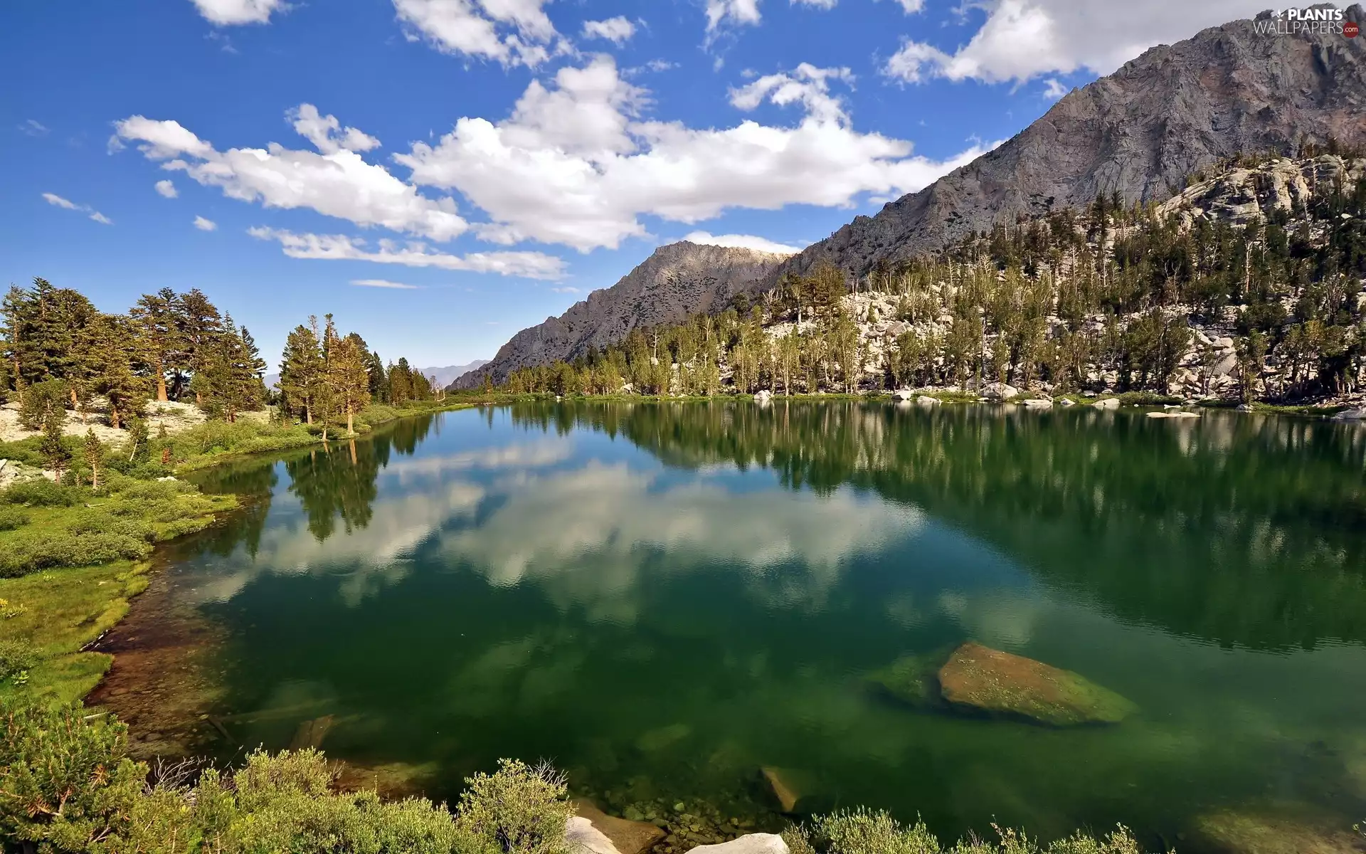 viewes, clouds, Mountains, trees, River