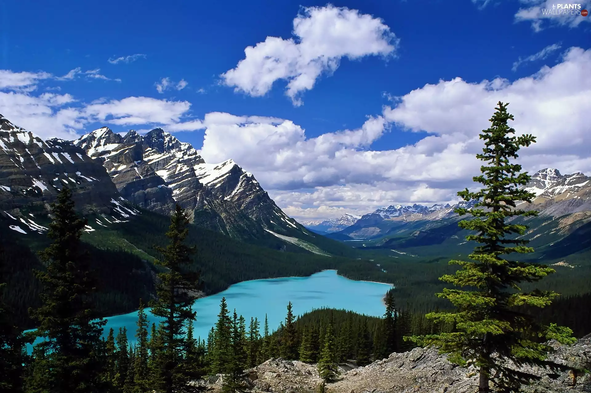 lake, Montana, Spruces, clouds, woods, Mountains