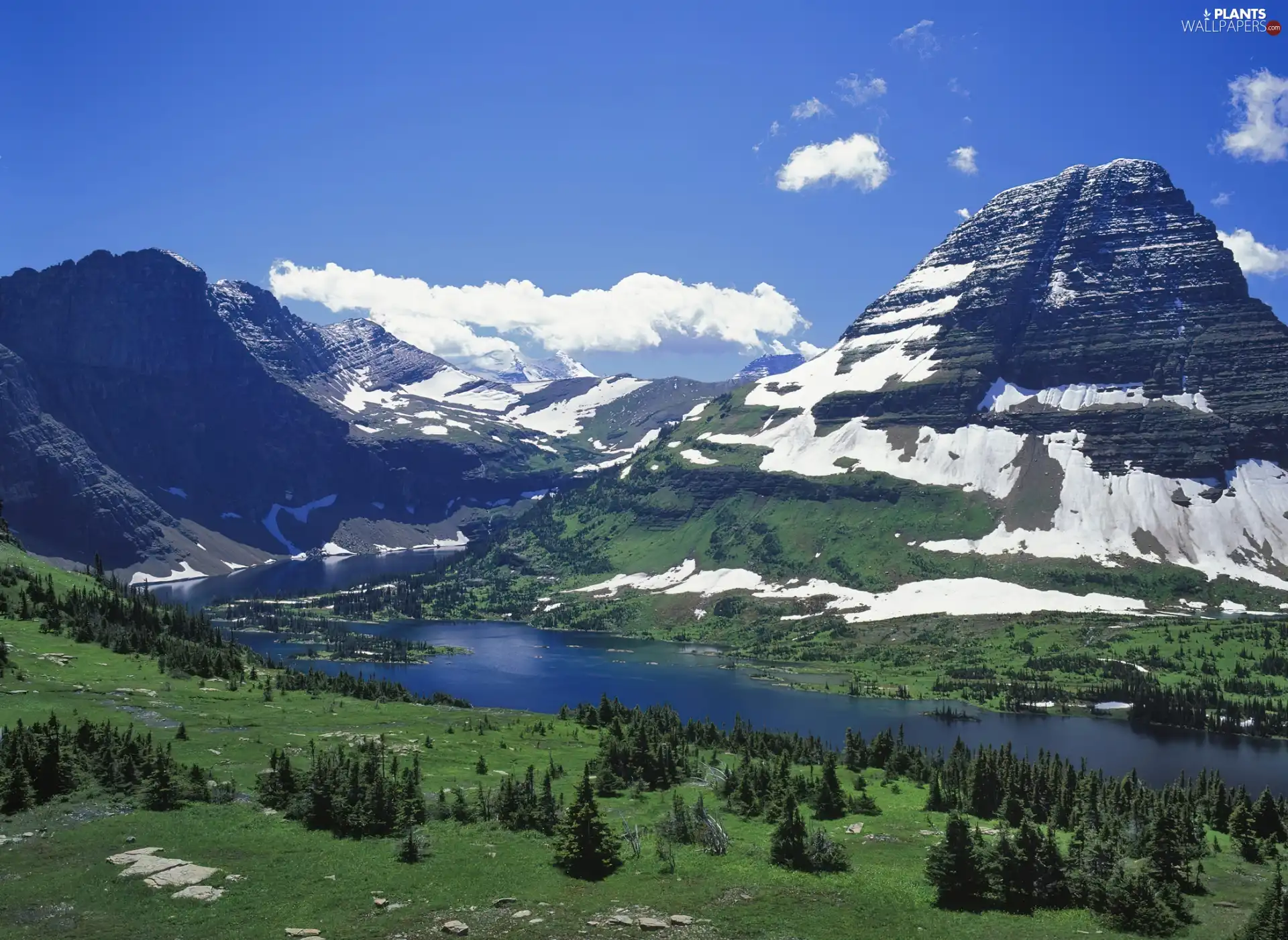 Mountains, Spruces, clouds, River