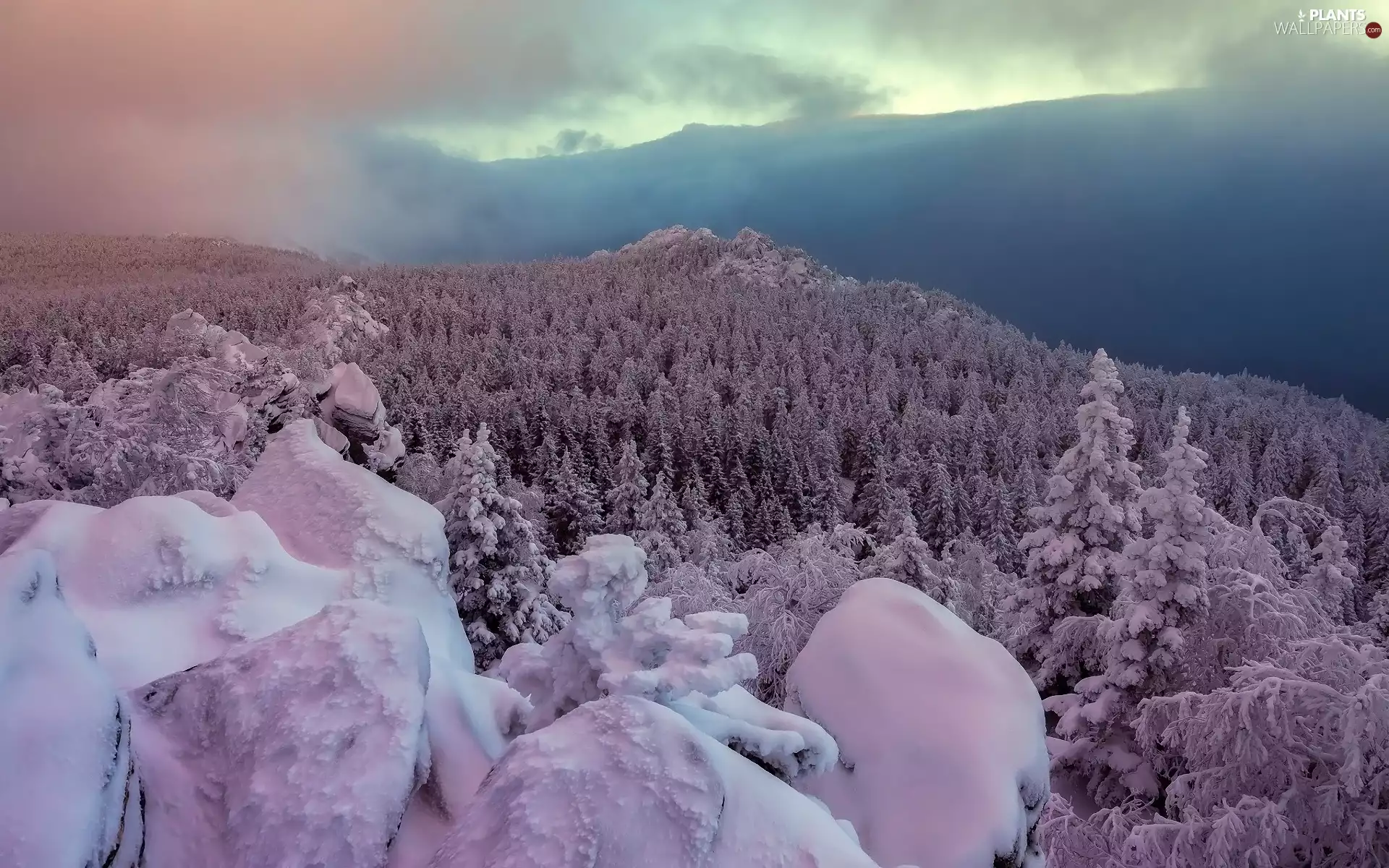 trees, winter, Stones, clouds, viewes, Mountains