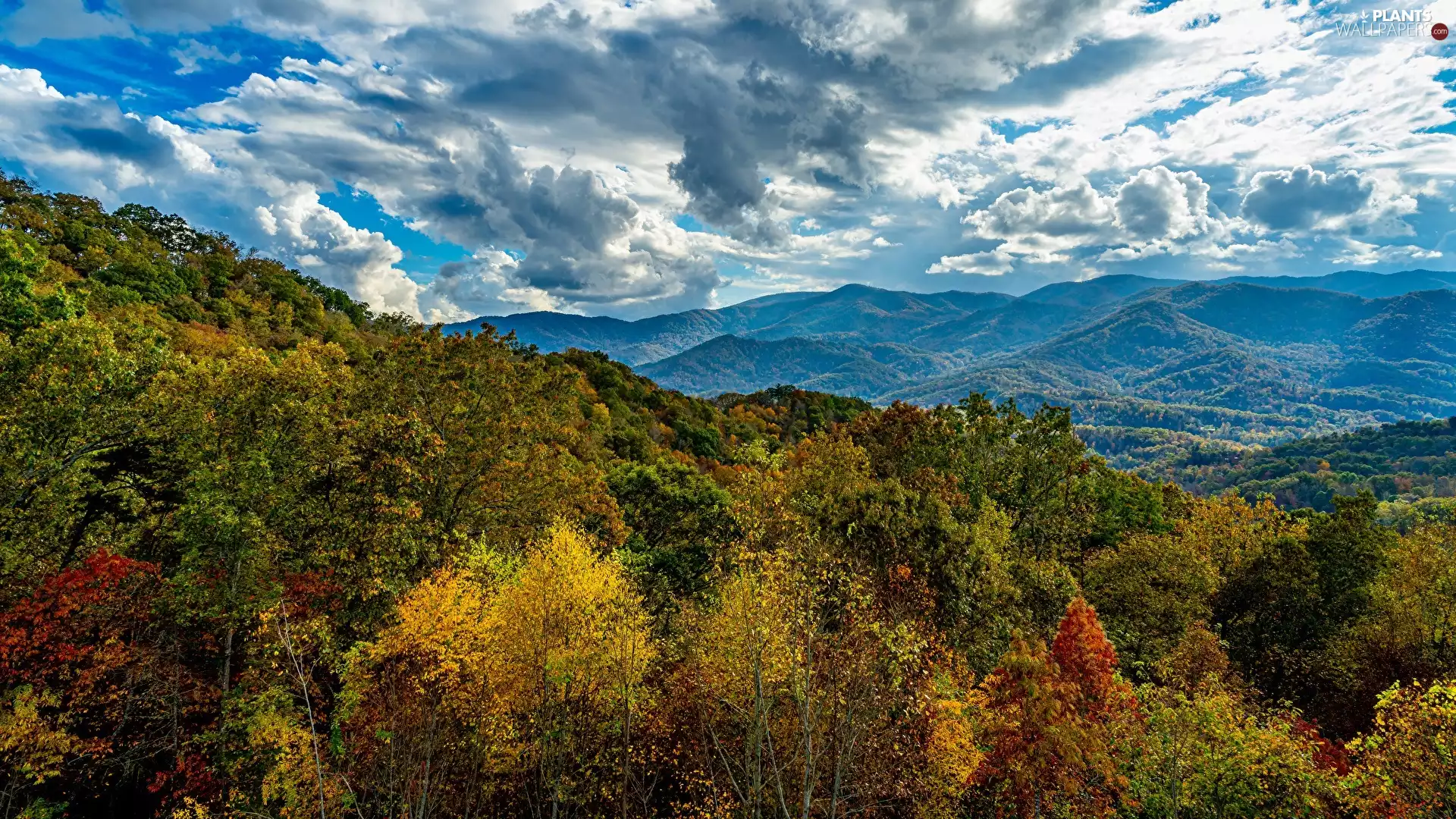 color, autumn, viewes, clouds, trees, Mountains